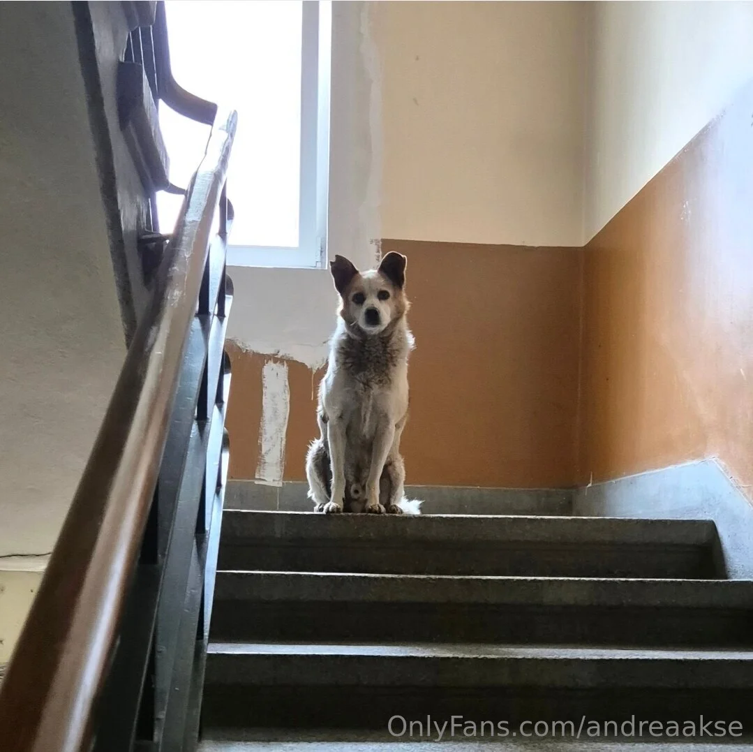 Andrea Akse OnlyFans free account photo 5 - andreaakse nudes and sex tapes