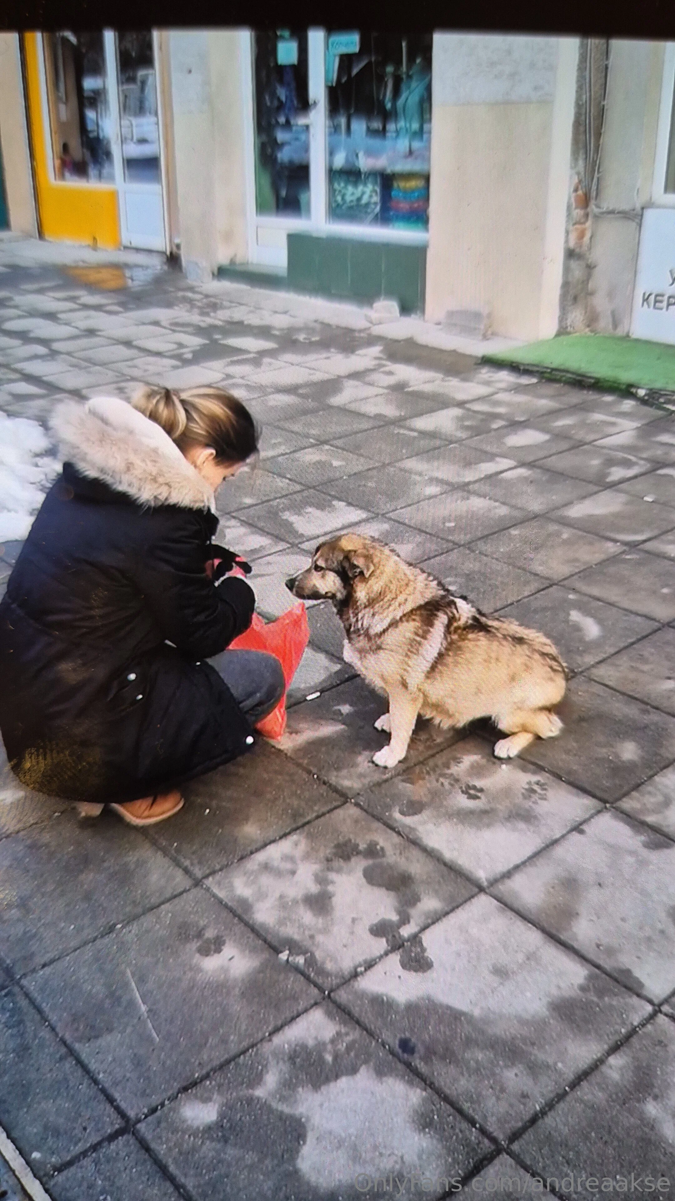 Andrea Akse OnlyFans free account photo 6 - andreaakse nudes and sex tapes