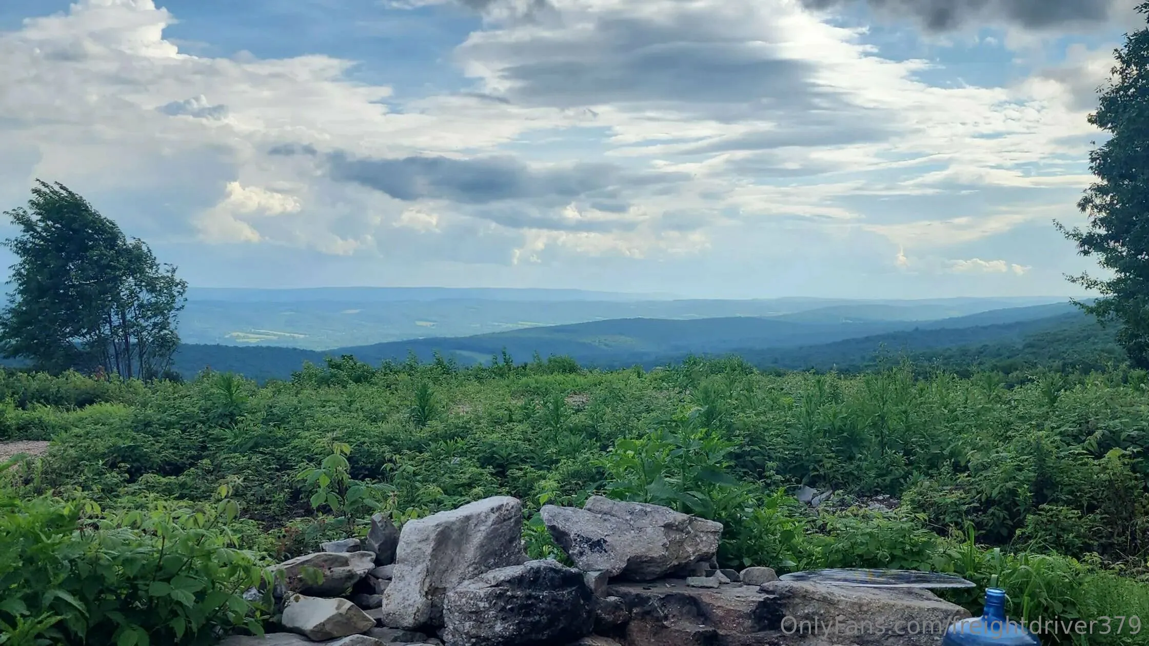 Drew35666 OnlyFans free account photo 5 - freightdriver379 nudes and sex tapes