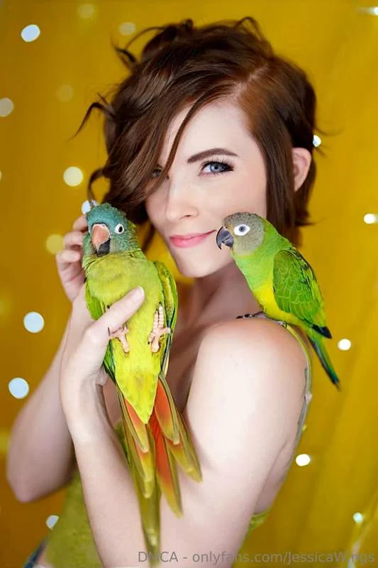 JessicaWings OnlyFans free account photo 13 - jessicawings nudes and sex tapes