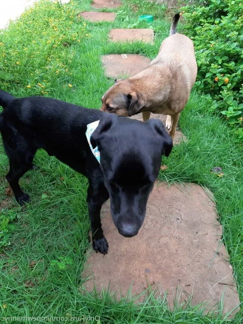 JimNewmanNYC OnlyFans free account photo 17 - jimnewmannyc nudes and sex tapes