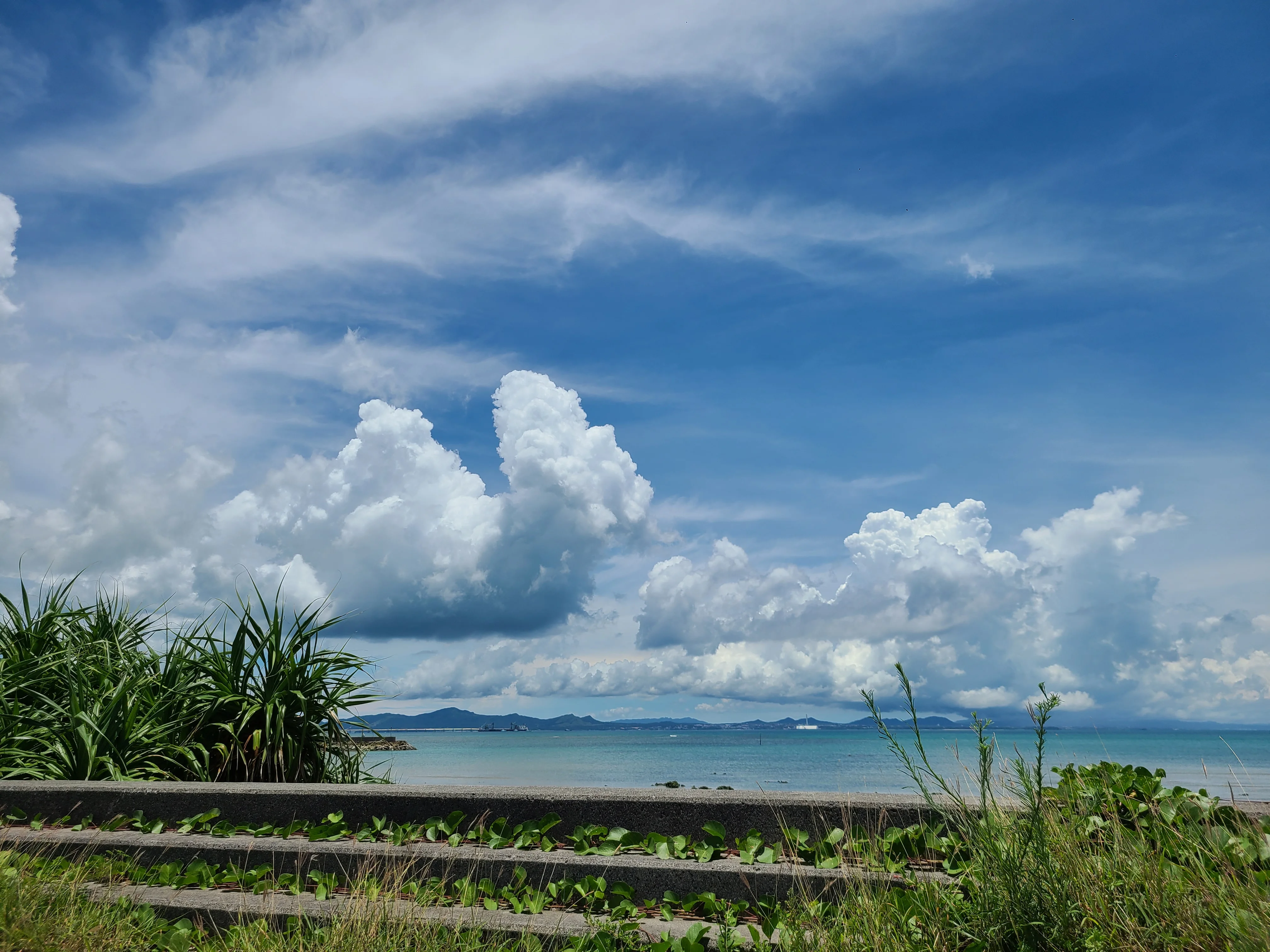 mio_kyuuna OnlyFans free account photo 7 - mio_kyuuna nudes and sex tapes