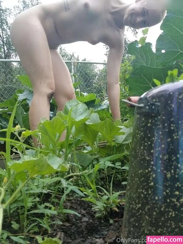 Off Grid Misty ☼ 🌲🌲😛😛 OnlyFans free account photo 1 - misty.wet nudes and sex tapes