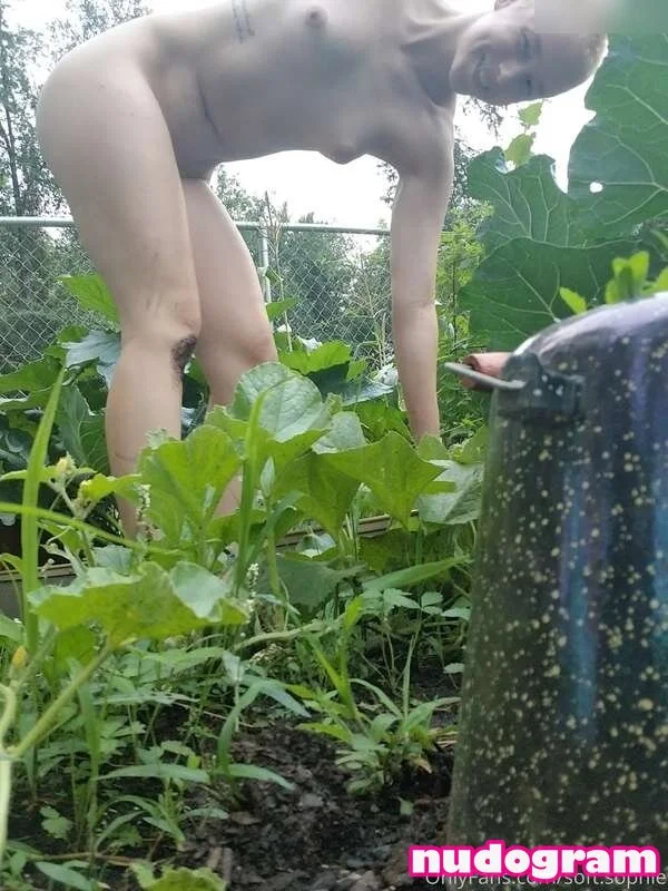 Off Grid Misty ☼ 🌲🌲😛😛 OnlyFans free account photo 13 - misty.wet nudes and sex tapes