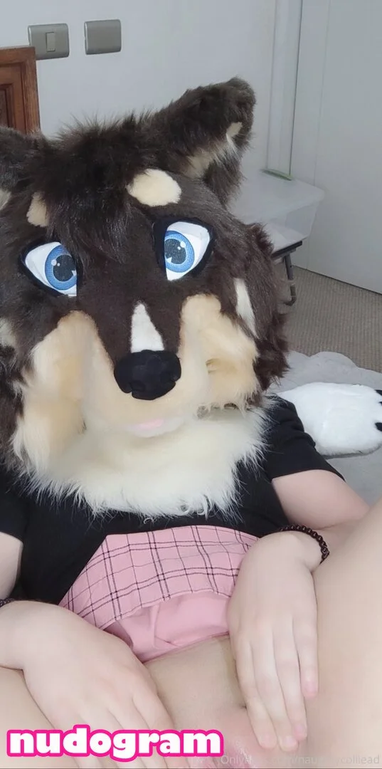 Naughty collie OnlyFans free account photo 12 - naughtycolliead nudes and sex tapes