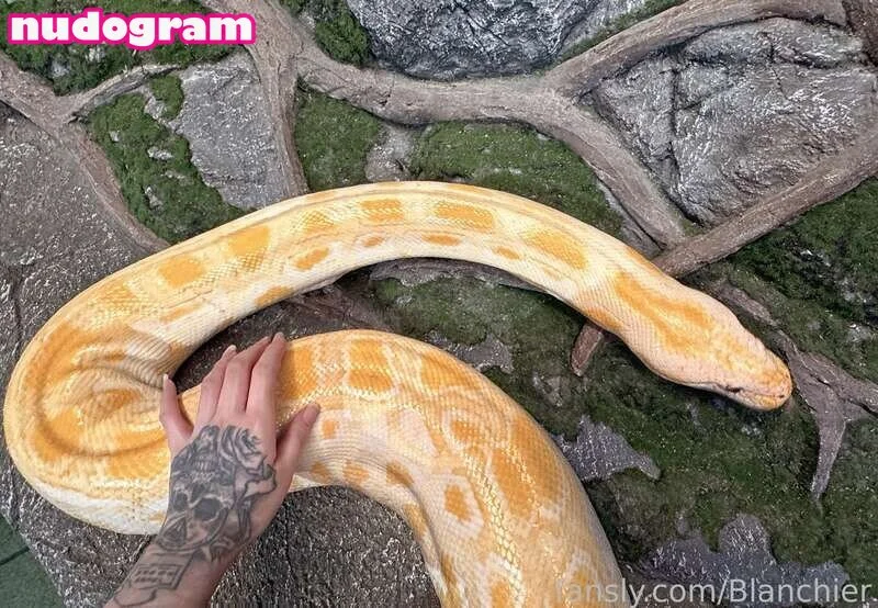 レイ Bunny OnlyFans free account photo 17 - nbnabunny nudes and sex tapes