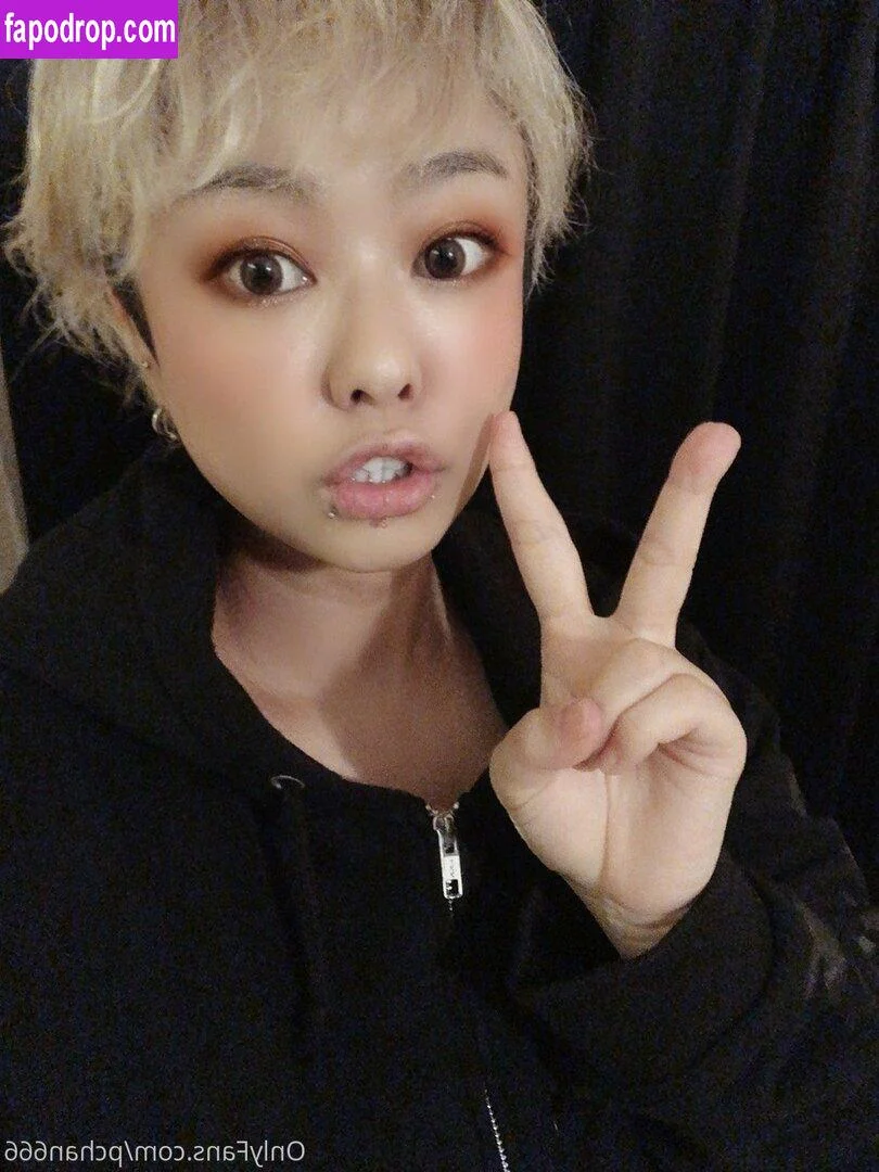 Pchan OnlyFans free account photo 13 - pchan666 nudes and sex tapes