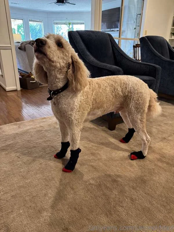 Dad 🤠 OnlyFans free account photo 13 - sameolddad nudes and sex tapes