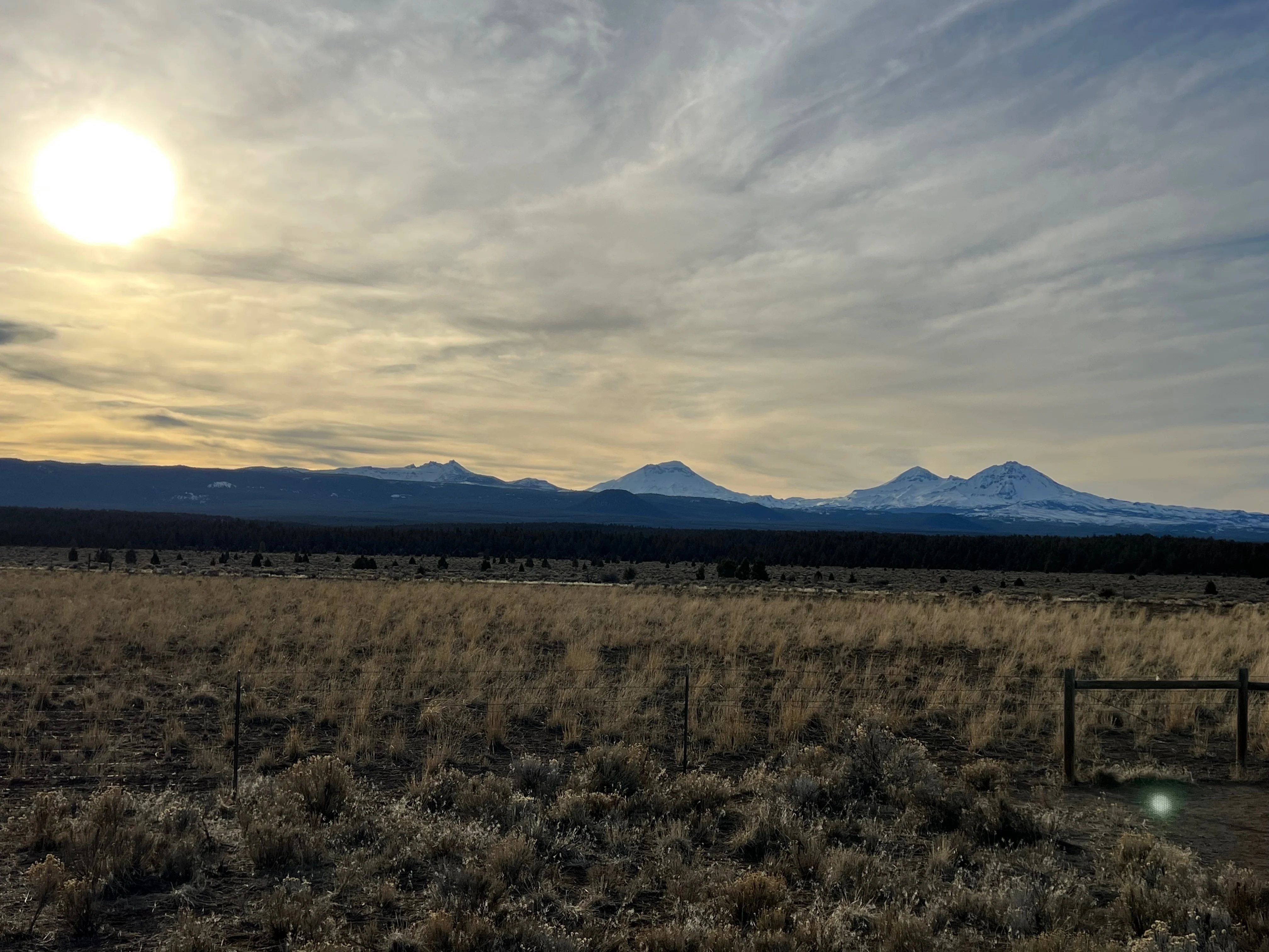 SDCountryboy OnlyFans free account photo 1 - sdcowboy nudes and sex tapes