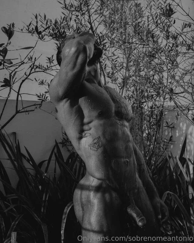 sobrenomeantonio OnlyFans free account photo 5 - sobrenomeantonio nudes and sex tapes