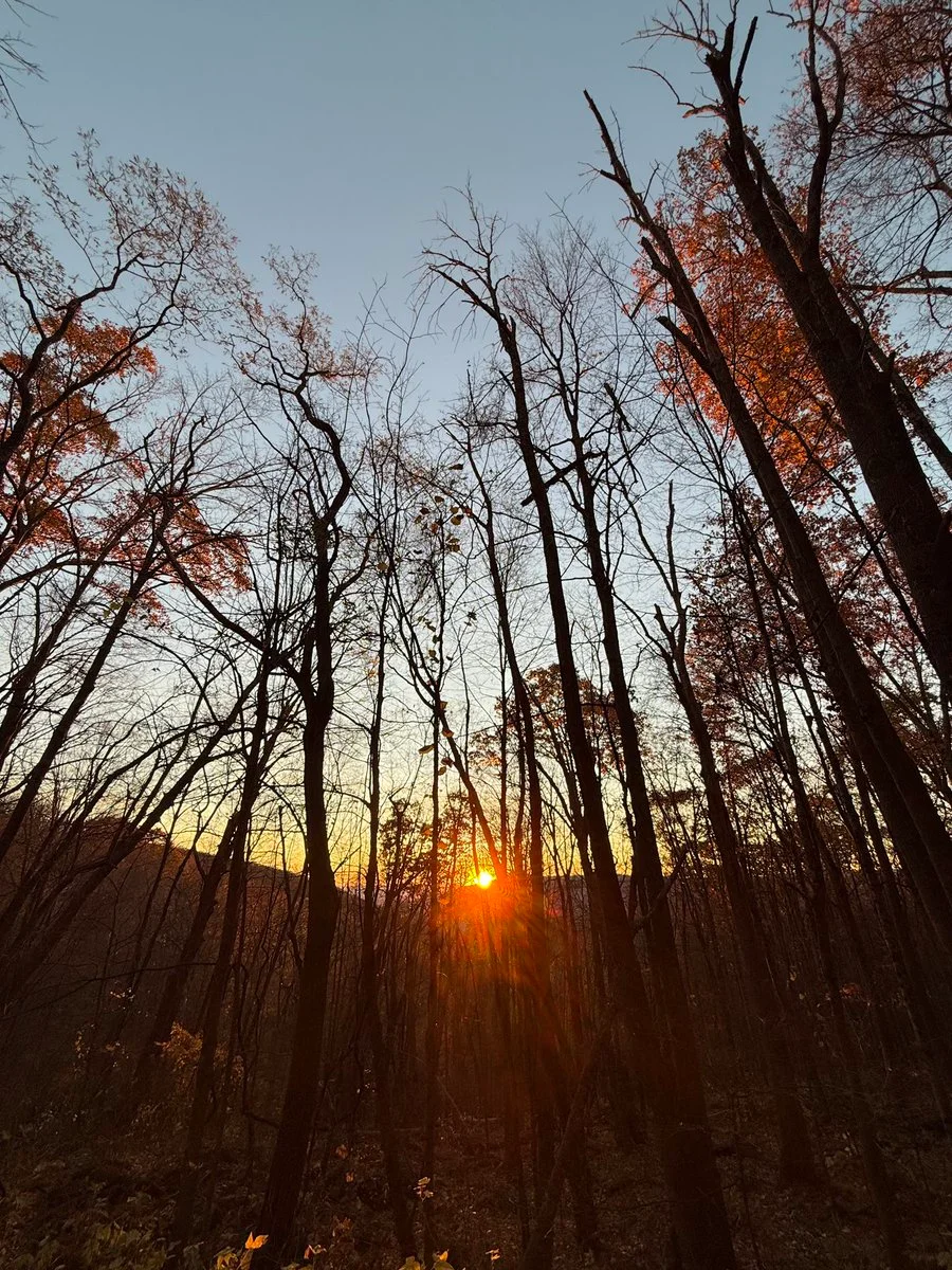 Sylvia_Bell OnlyFans free account photo 7 - sylviabell nudes and sex tapes