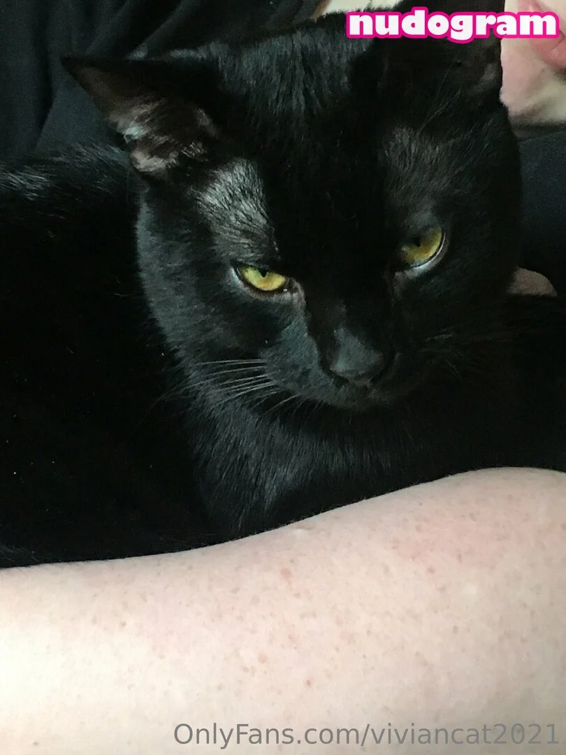 Vivian Cat OnlyFans free account photo 34 - viviancat2021 nudes and sex tapes