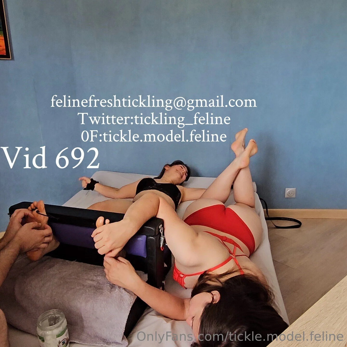 Feline Tickle Model and Studio OnlyFans free account photo 29 - tickle.model.feline nudes and sex tapes