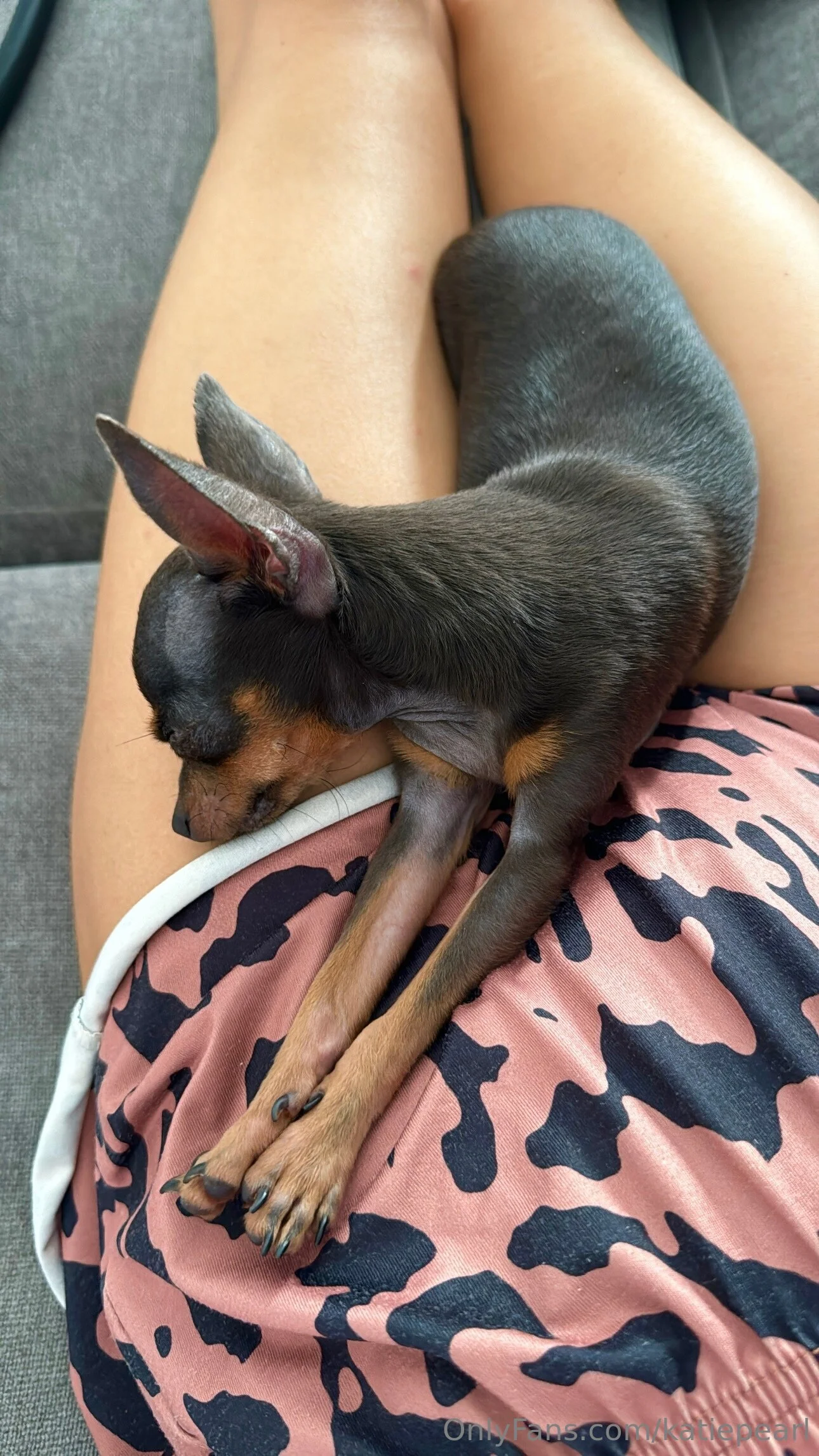 KATIE 🦪 PEARL 🫧 OnlyFans free account photo 12 - katiepearl nudes and sex tapes