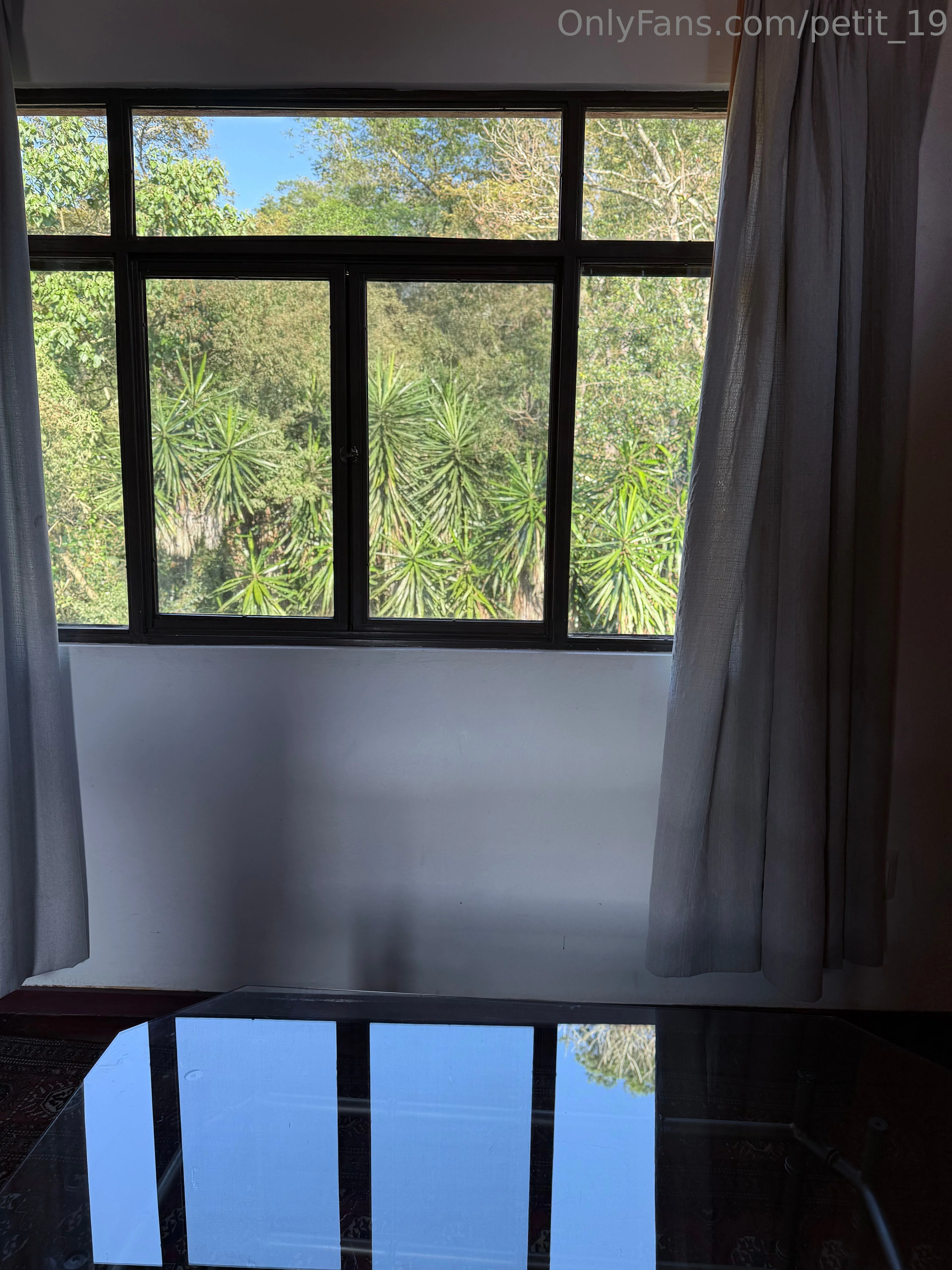 𝚂 𝚌 𝚊 𝚛 𝚕 𝚎 𝚝 ❤️ OnlyFans free account photo 17 - petit_19 nudes and sex tapes