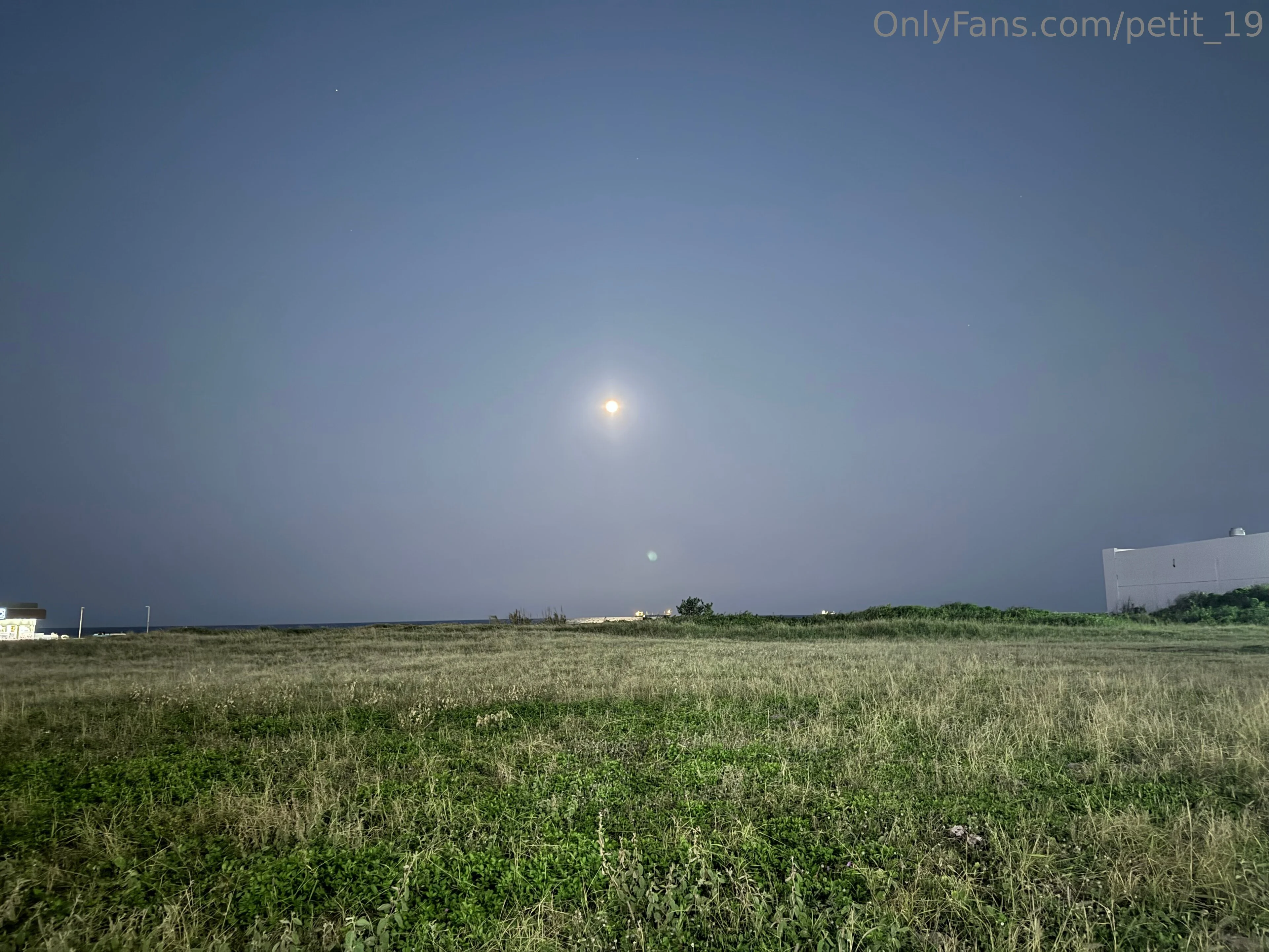 𝚂 𝚌 𝚊 𝚛 𝚕 𝚎 𝚝 ❤️ OnlyFans free account photo 5 - petit_19 nudes and sex tapes