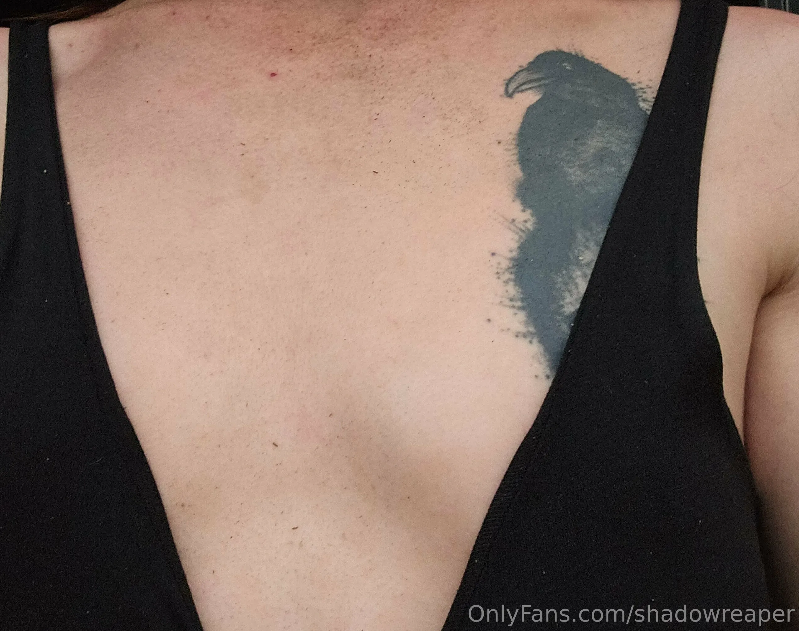 AbbyKat666 OnlyFans free account photo 18 - abbykat666 nudes and sex tapes