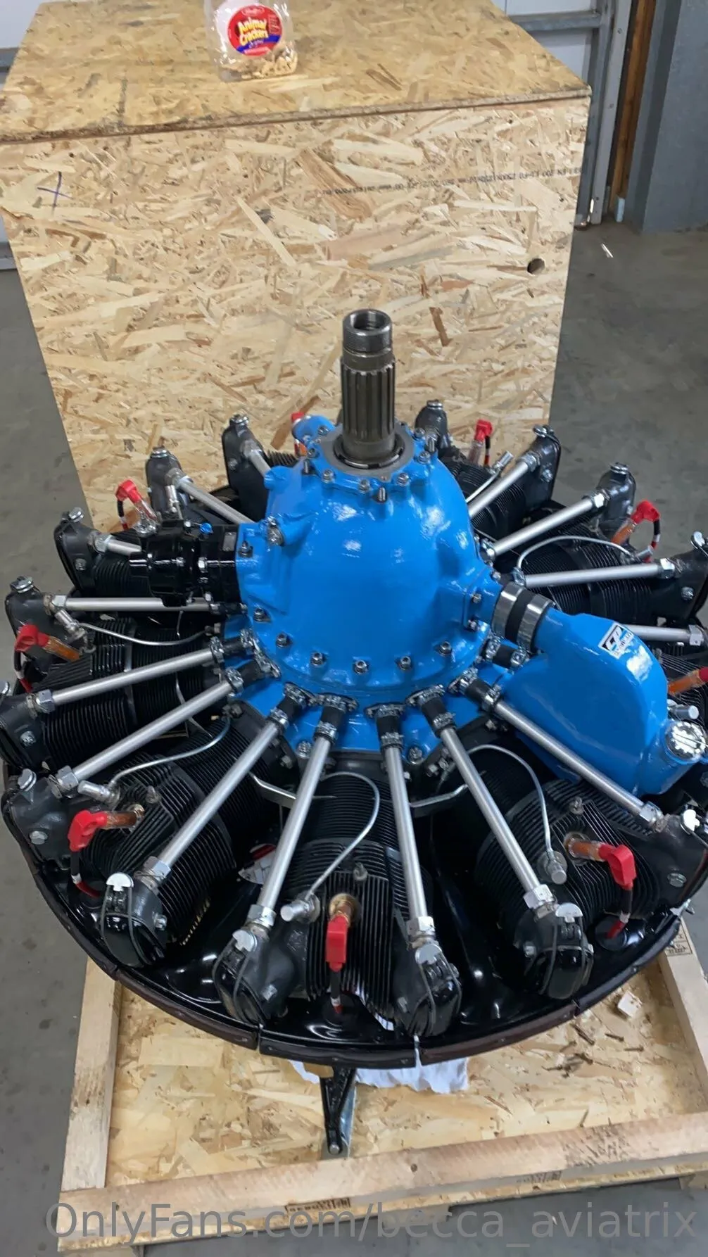 Becca_aviatrix OnlyFans free account photo 12 - becca_aviatrix nudes and sex tapes