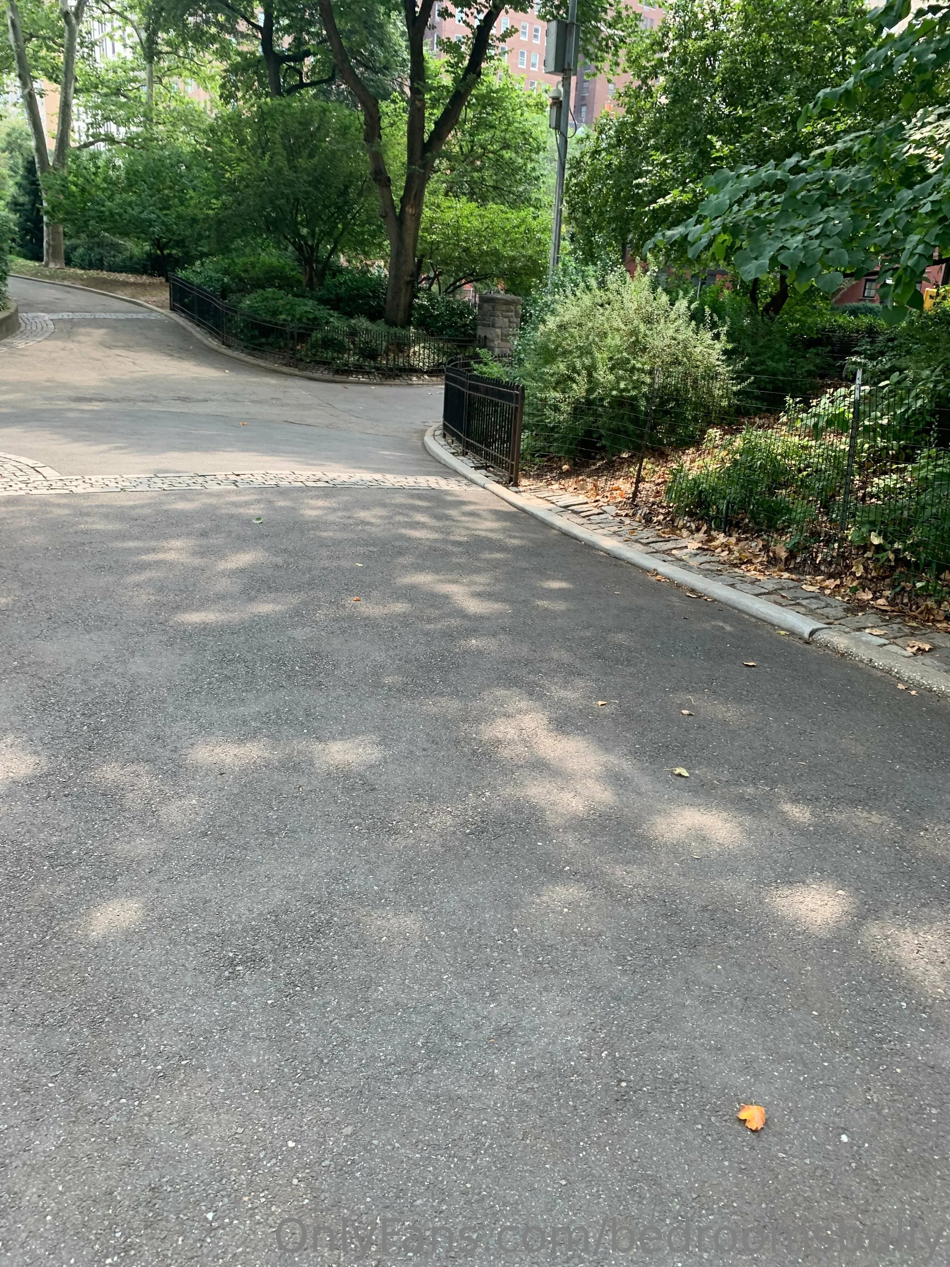 Bedroom Bully OnlyFans free account photo 20 - bedroomsbully nudes and sex tapes