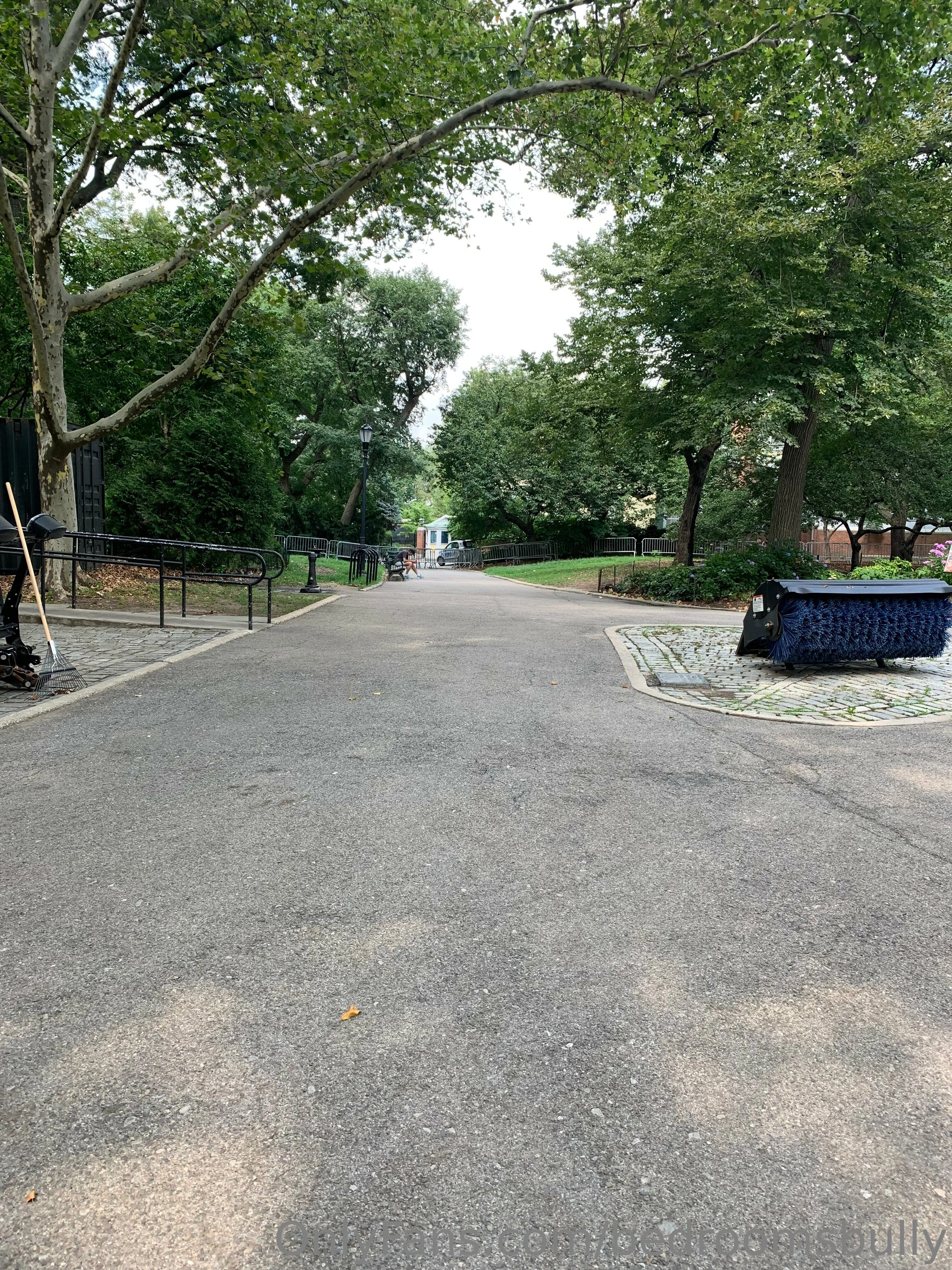 Bedroom Bully OnlyFans free account photo 19 - bedroomsbully nudes and sex tapes