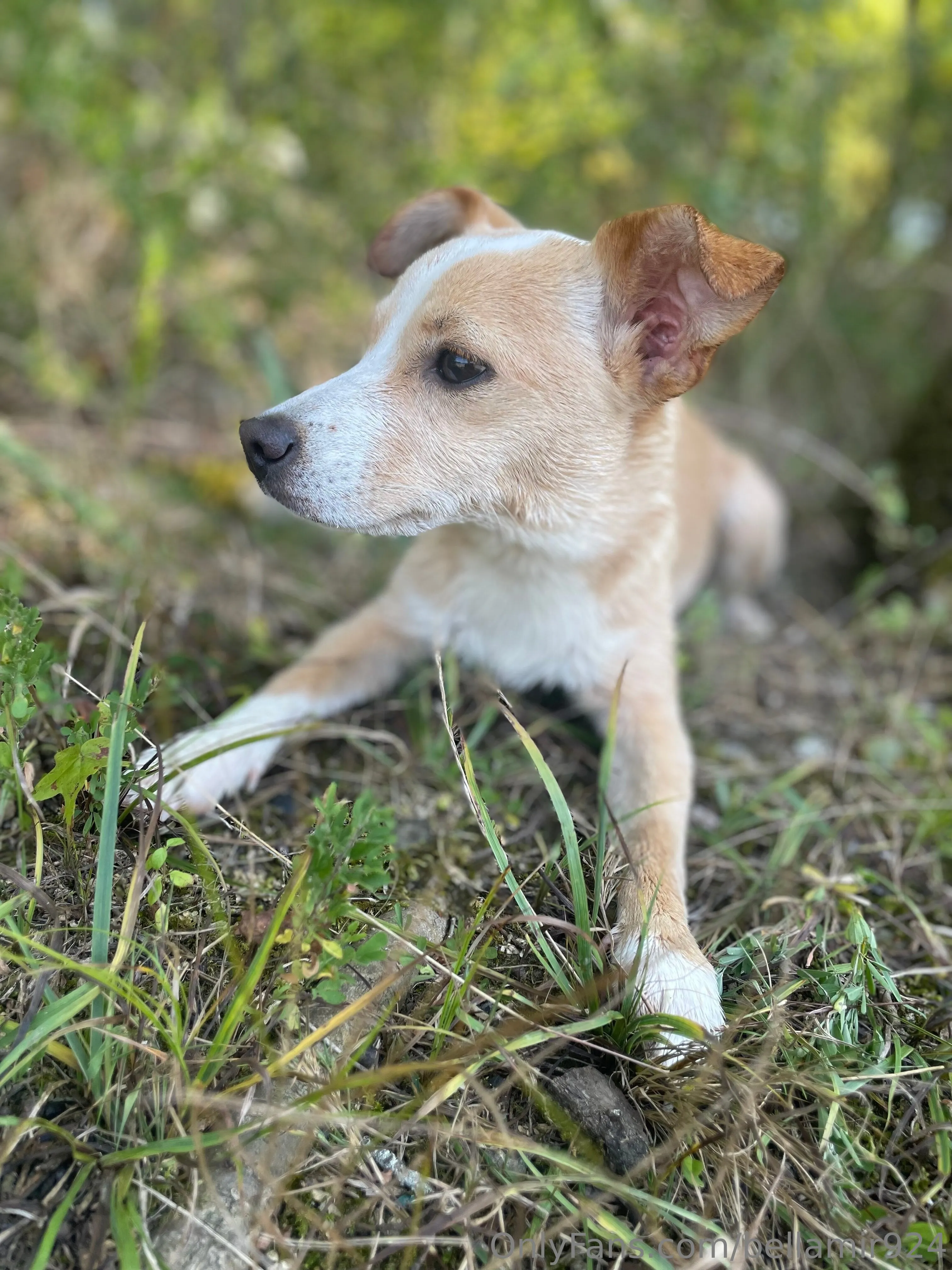 Bellamir OnlyFans free account photo 16 - bellamir924 nudes and sex tapes