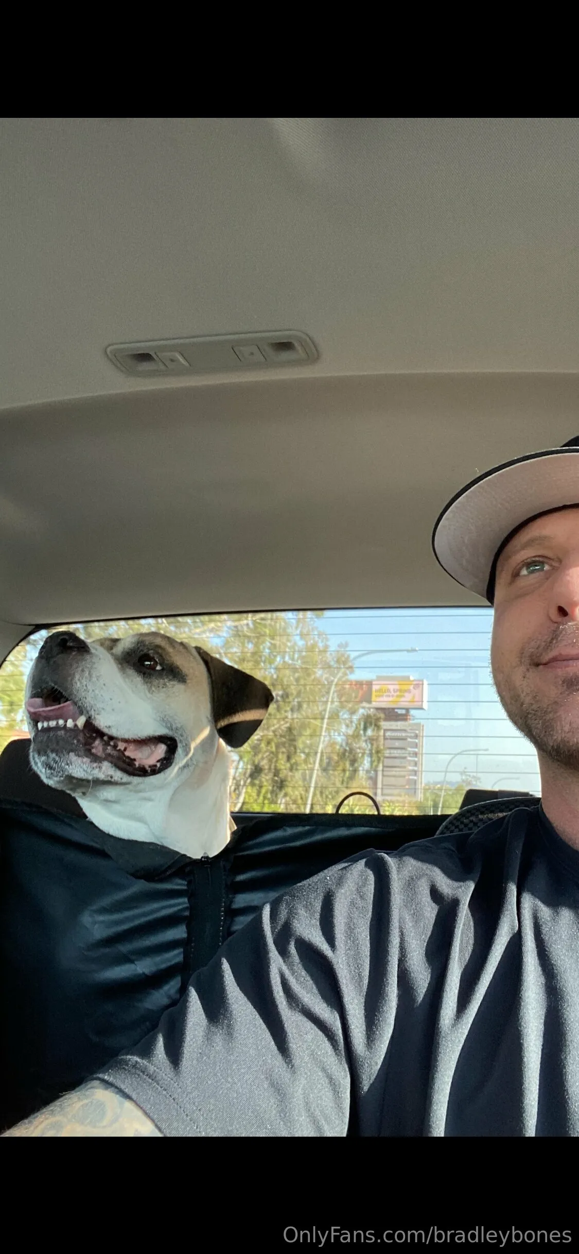 Brad OnlyFans free account photo 9 - bradleybones nudes and sex tapes