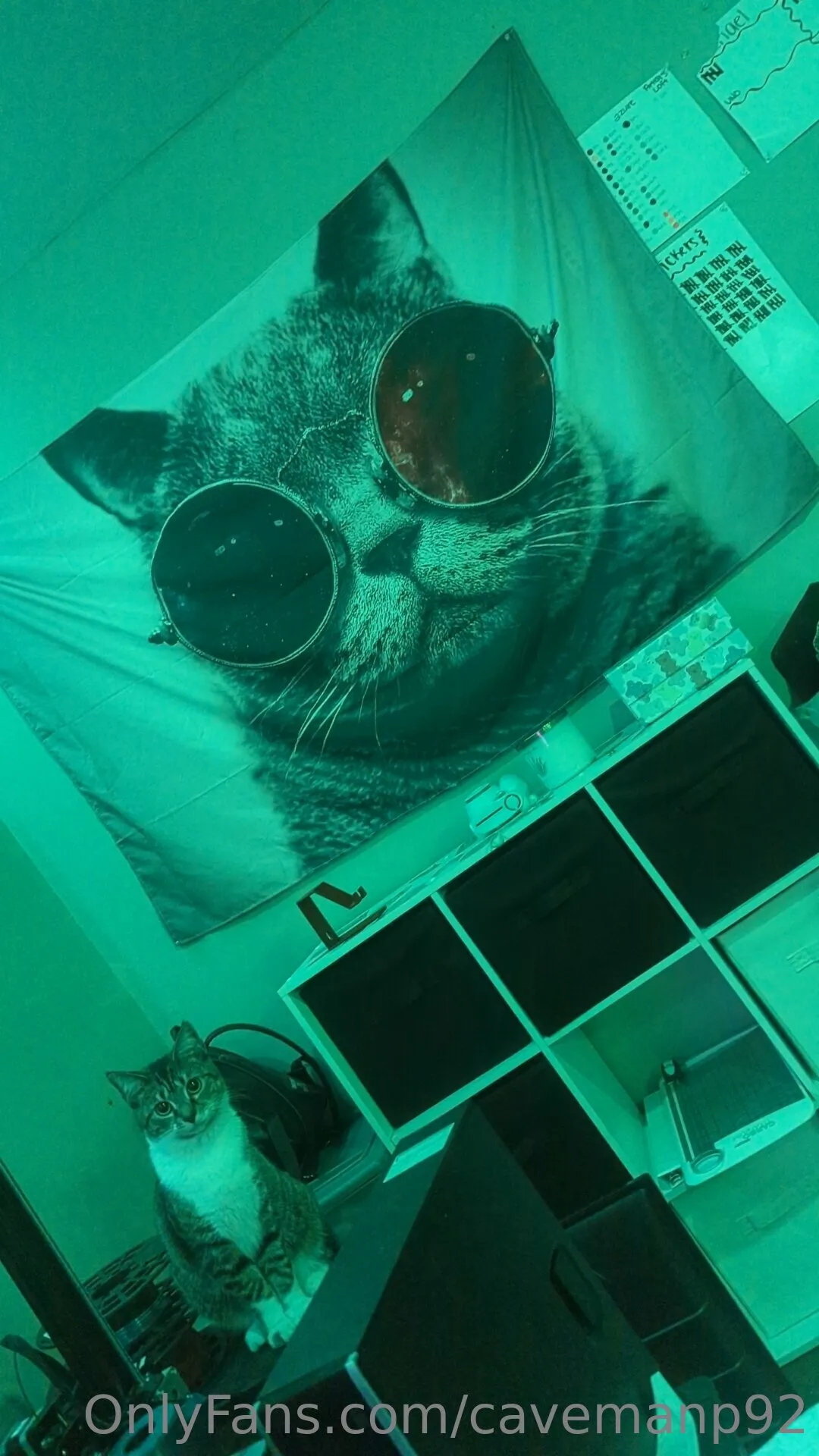 Stoned fluffy guy OnlyFans free account photo 20 - cavemanp92 nudes and sex tapes