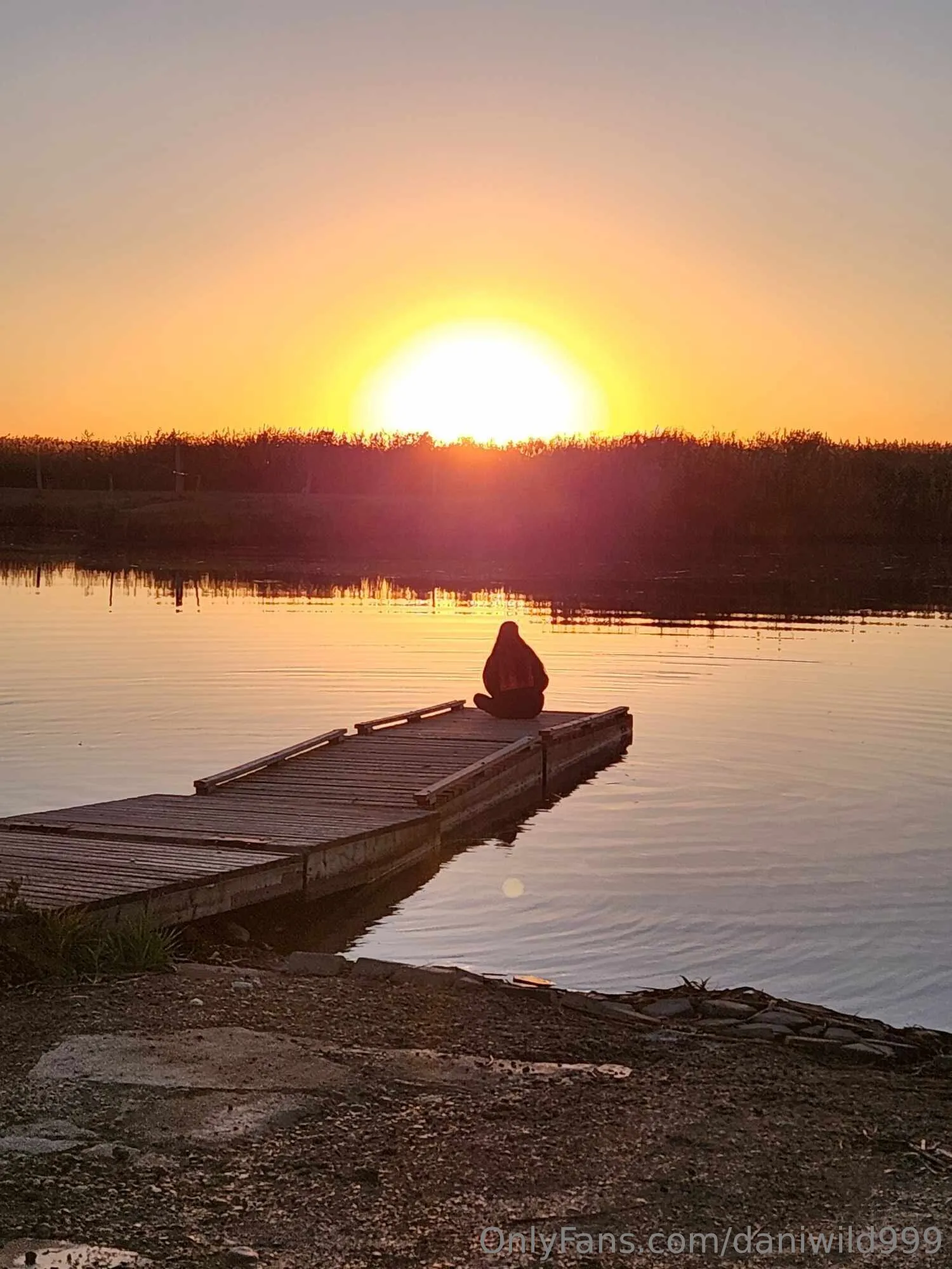 Dani Wild OnlyFans free account photo 5 - daniwild999 nudes and sex tapes