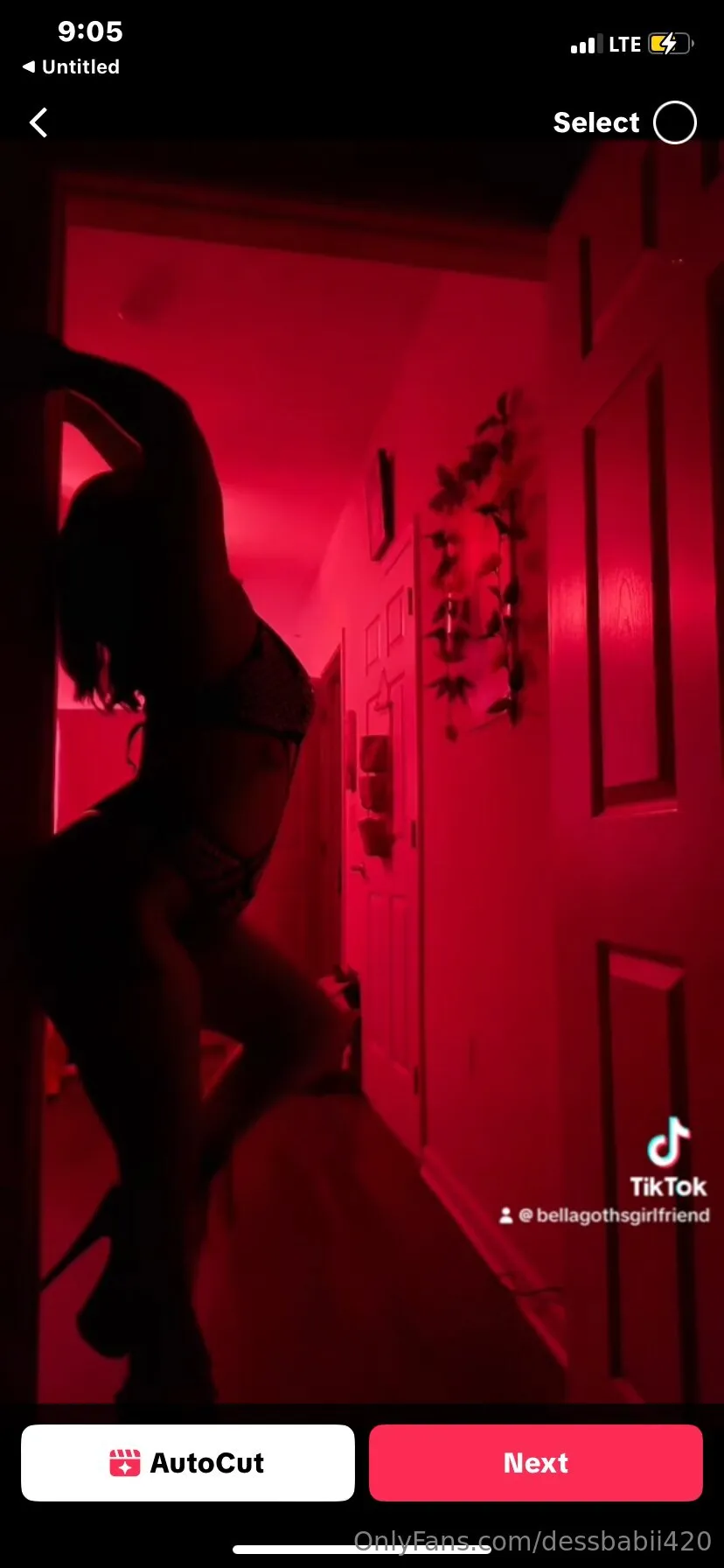 Destiny Wachter OnlyFans free account photo 13 - dessbabii420 nudes and sex tapes