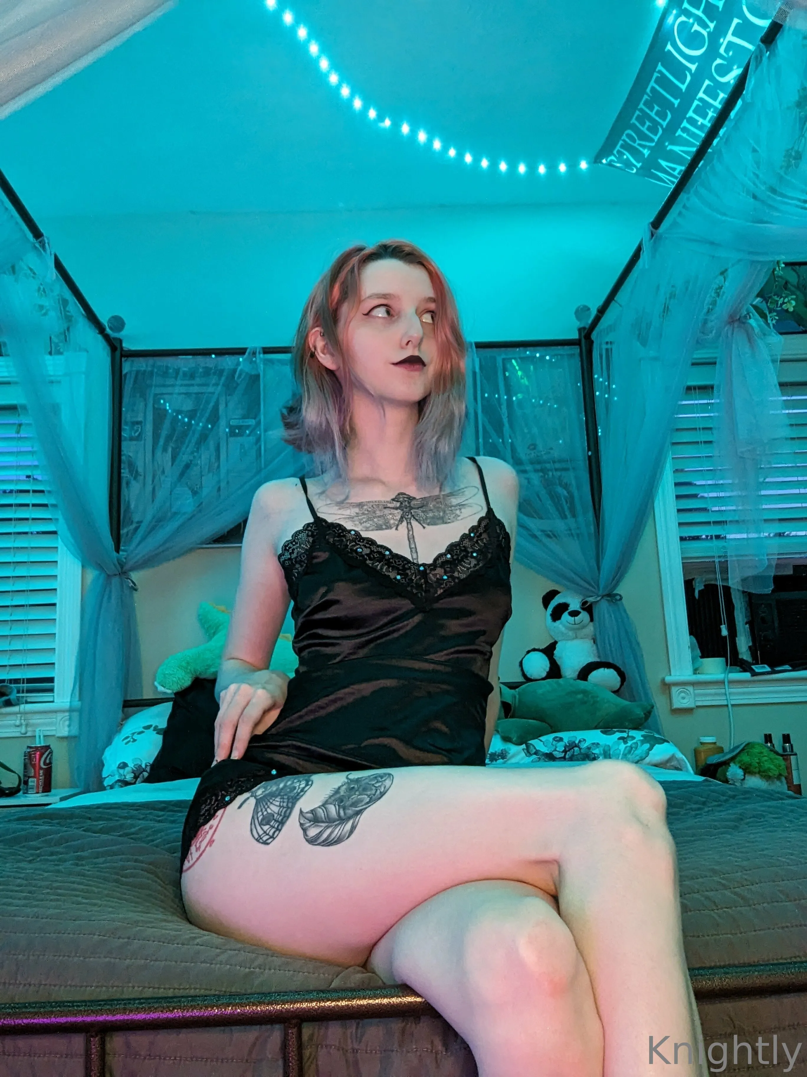 Kat OnlyFans free account photo 22 - edgykittykat nudes and sex tapes