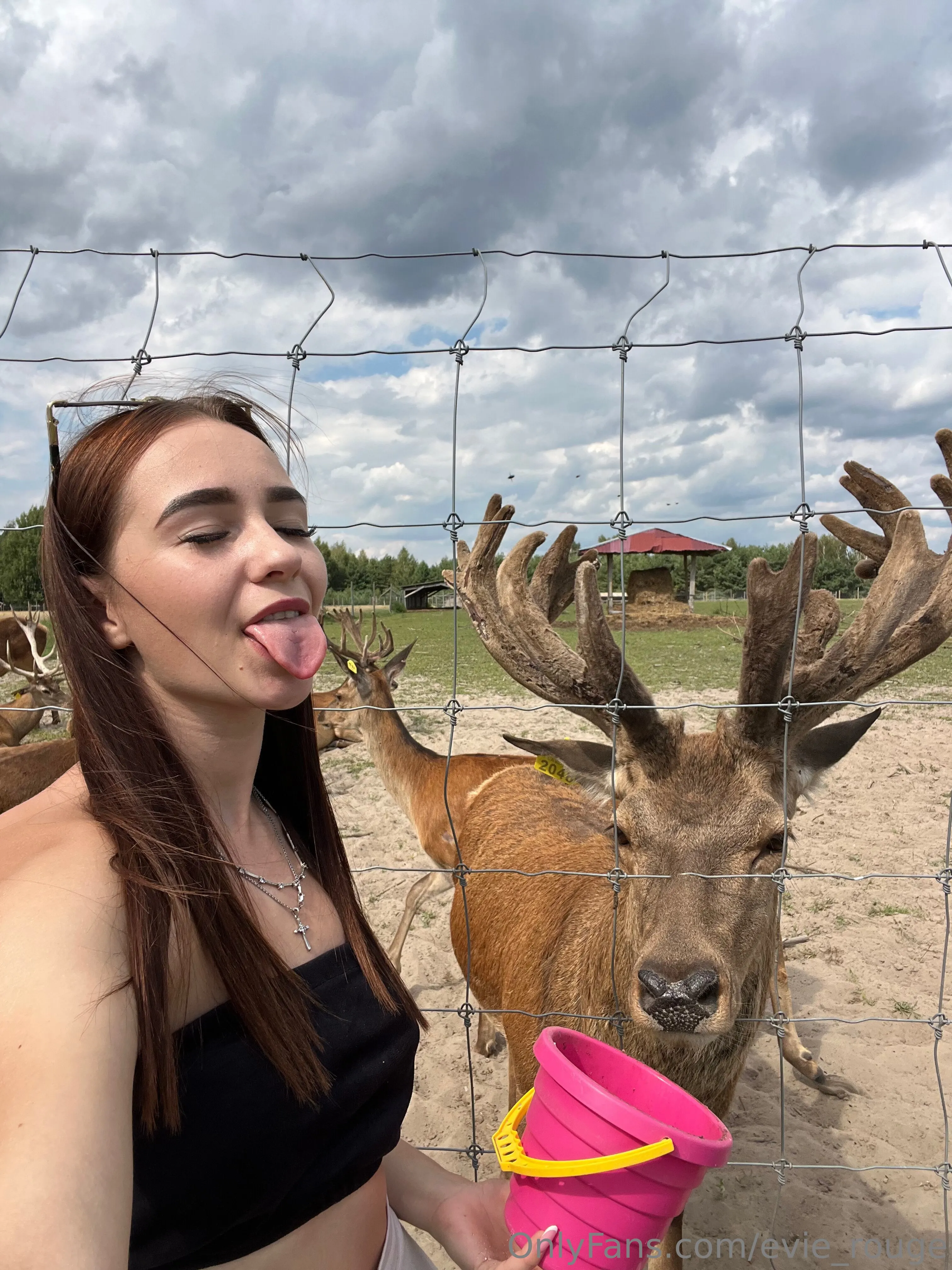 Evie Rouge 💋 OnlyFans free account photo 12 - evie_rouge nudes and sex tapes