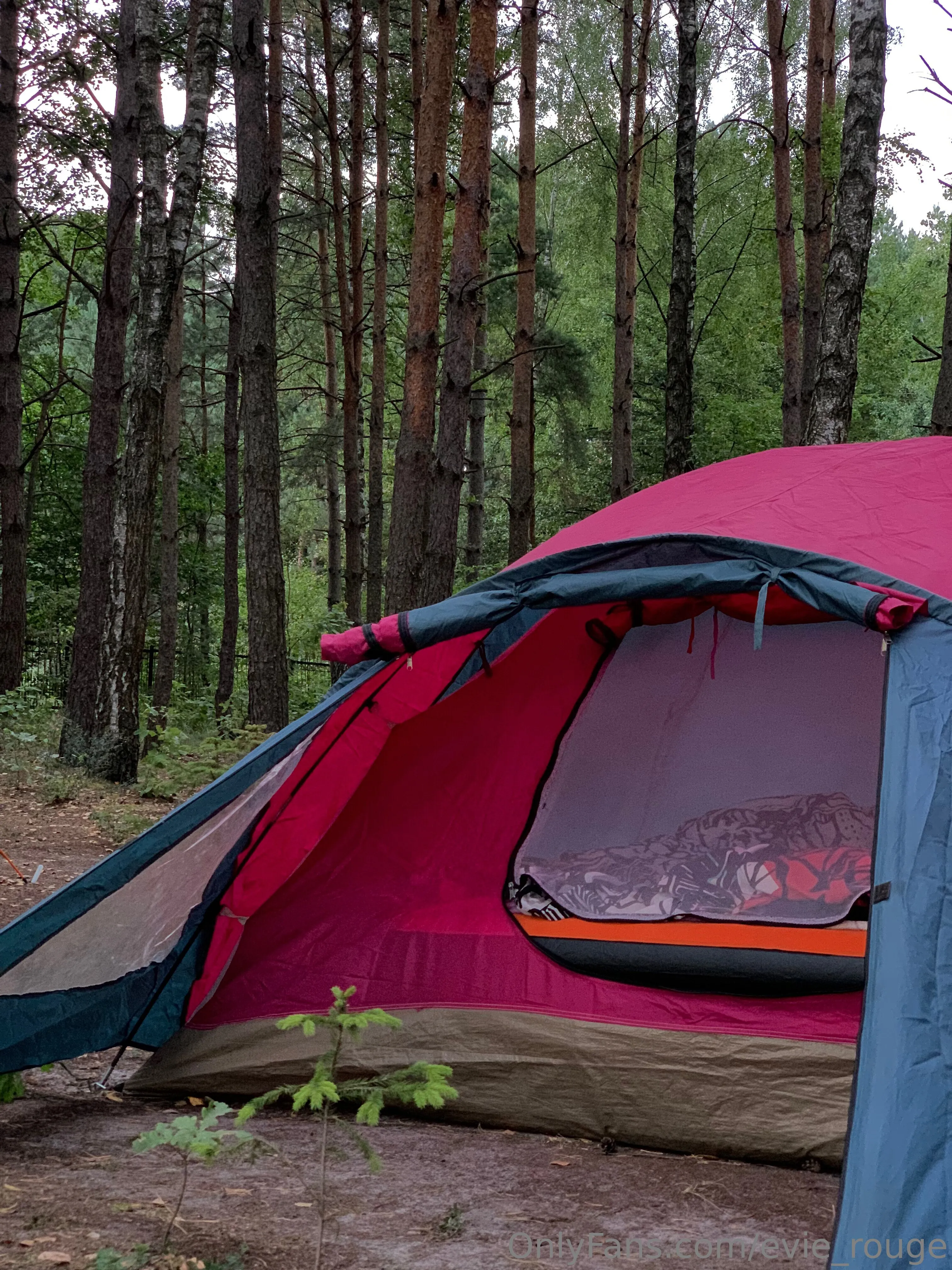 Evie Rouge 💋 OnlyFans free account photo 7 - evie_rouge nudes and sex tapes