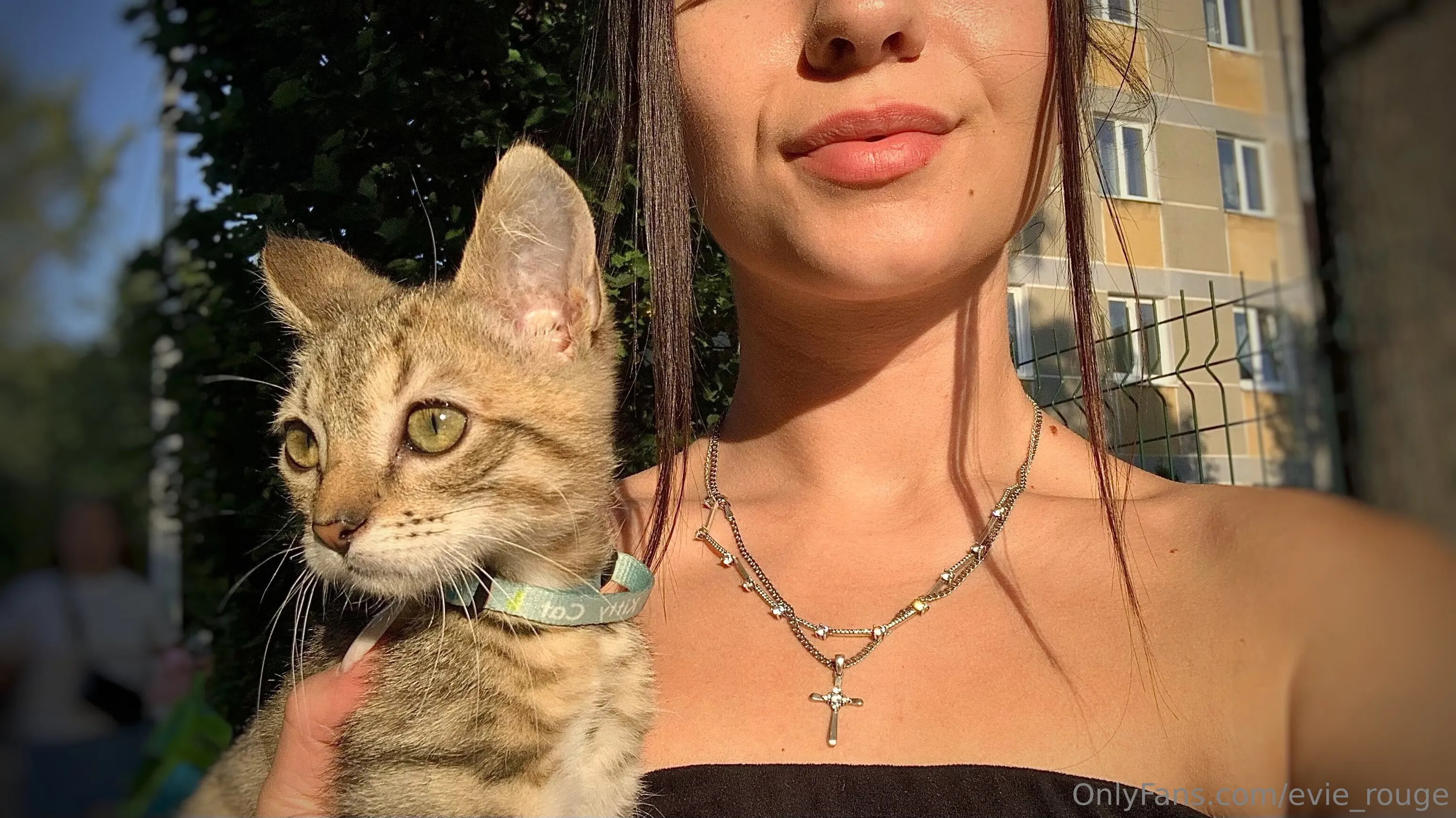 Evie Rouge 💋 OnlyFans free account photo 6 - evie_rouge nudes and sex tapes