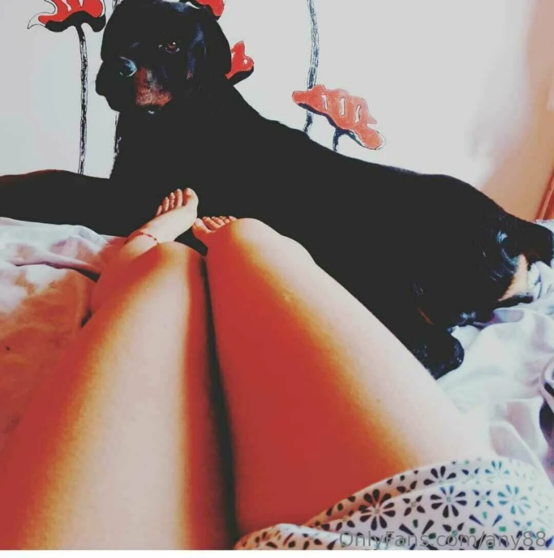 Any OnlyFans free account photo 6 - any88 nudes and sex tapes