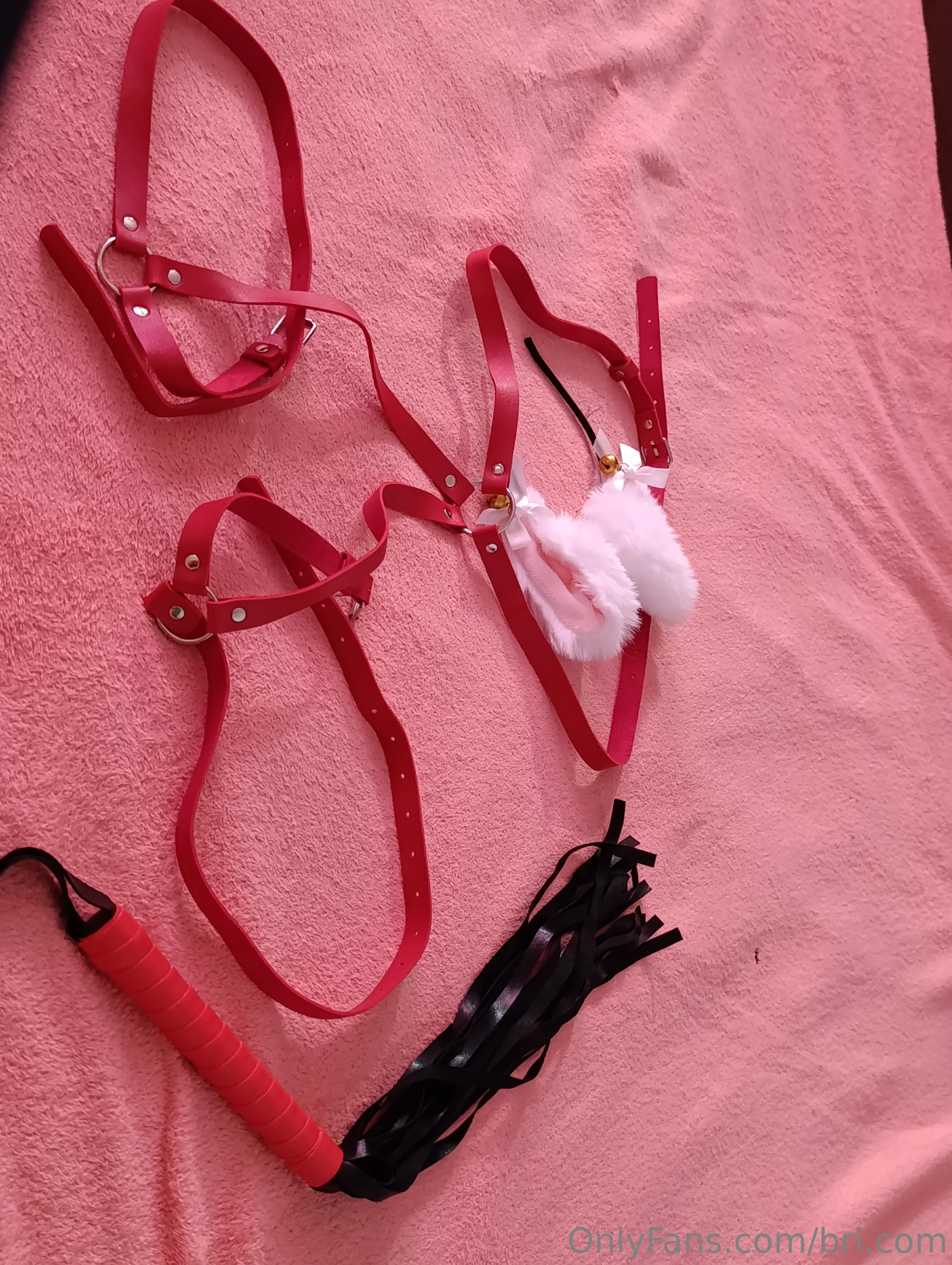 Bri.com OnlyFans free account photo 7 - bri.com nudes and sex tapes