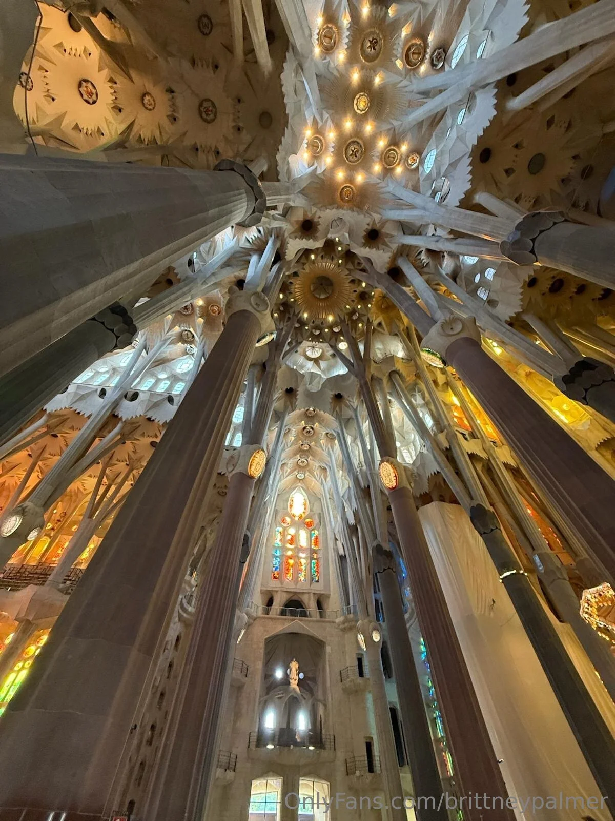 🥊 Brittney Palmer 🥊 OnlyFans free account photo 25 - brittneypalmer nudes and sex tapes