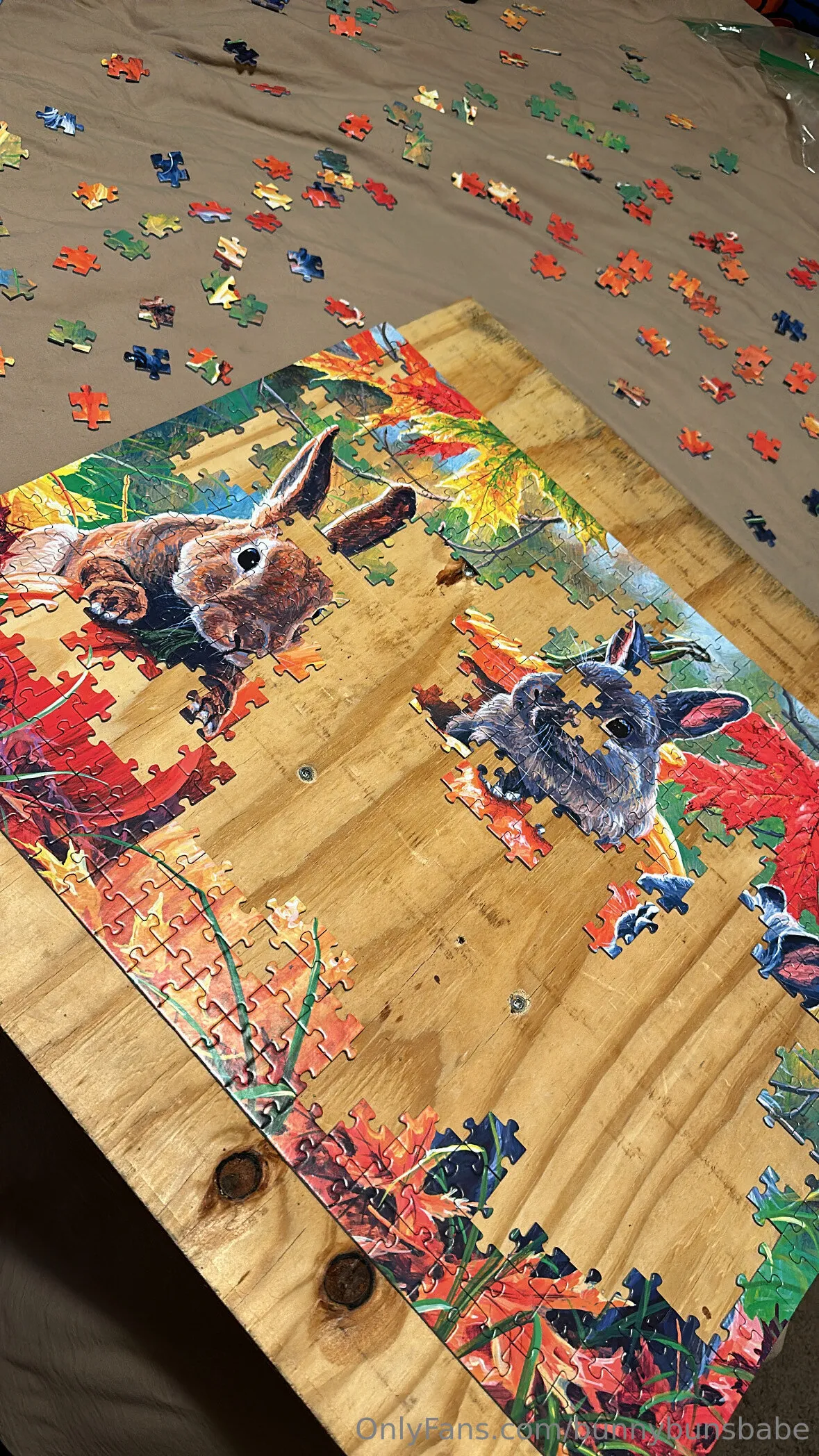 Bunny Buns OnlyFans free account photo 10 - bunnybunsbabe nudes and sex tapes