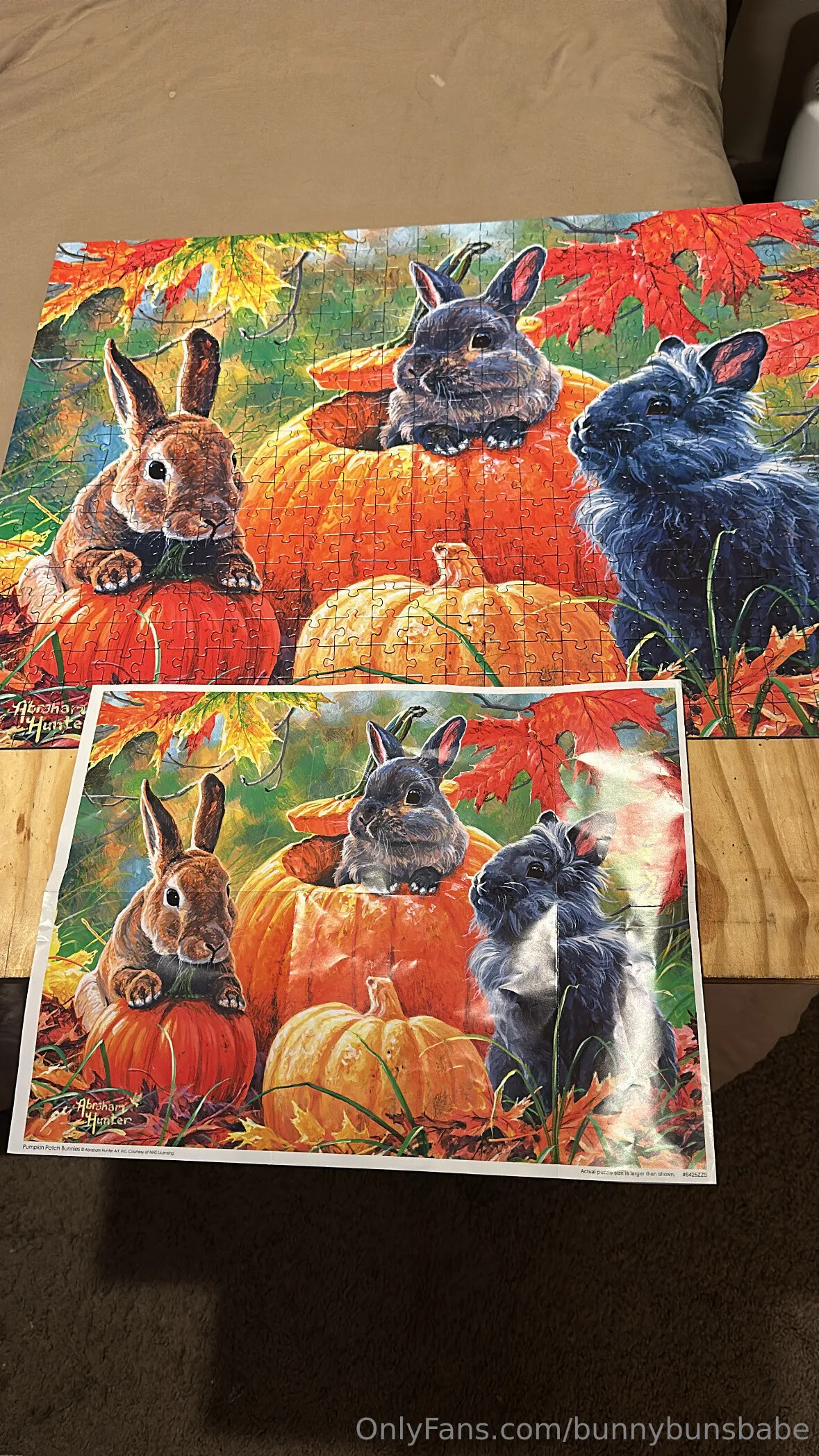 Bunny Buns OnlyFans free account photo 9 - bunnybunsbabe nudes and sex tapes