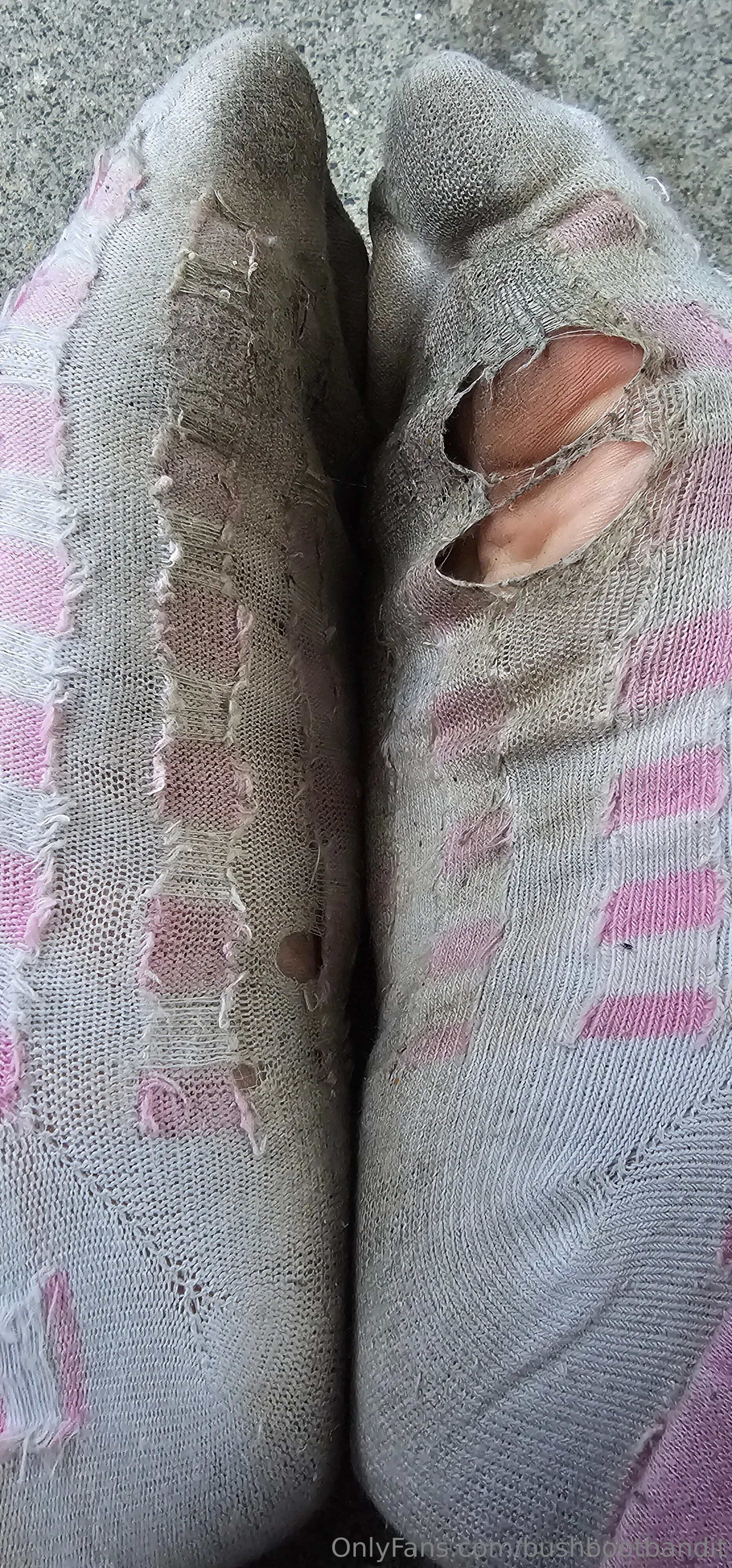 𝕭𝖆𝖓𝖉𝖎𝖙 𝖕𝖗𝖎𝖓𝖈𝖊𝖘𝖘 OnlyFans free account photo 24 - bushbootbandit nudes and sex tapes