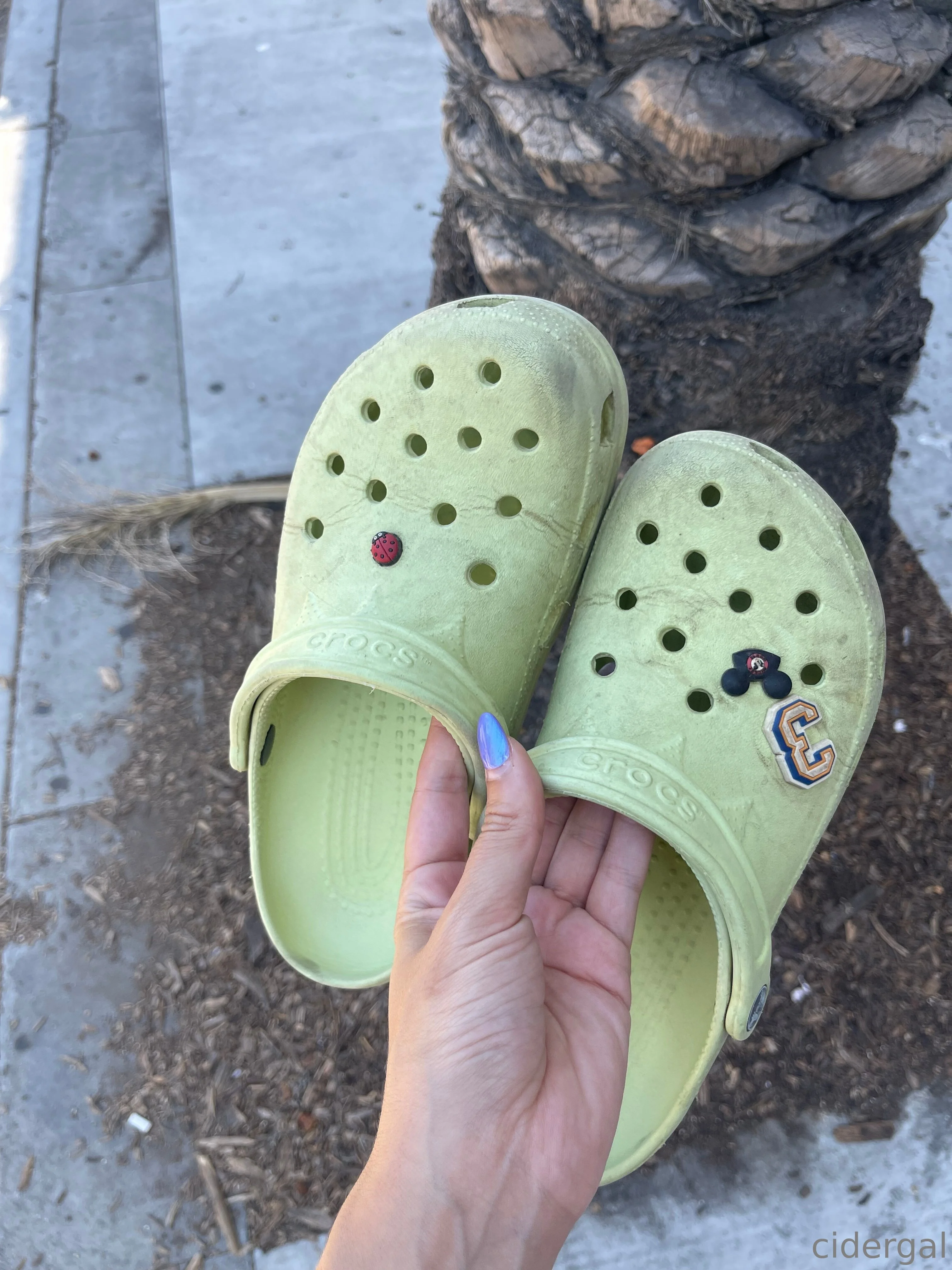 cidergal🍎 OnlyFans free account photo 4 - cidergal nudes and sex tapes