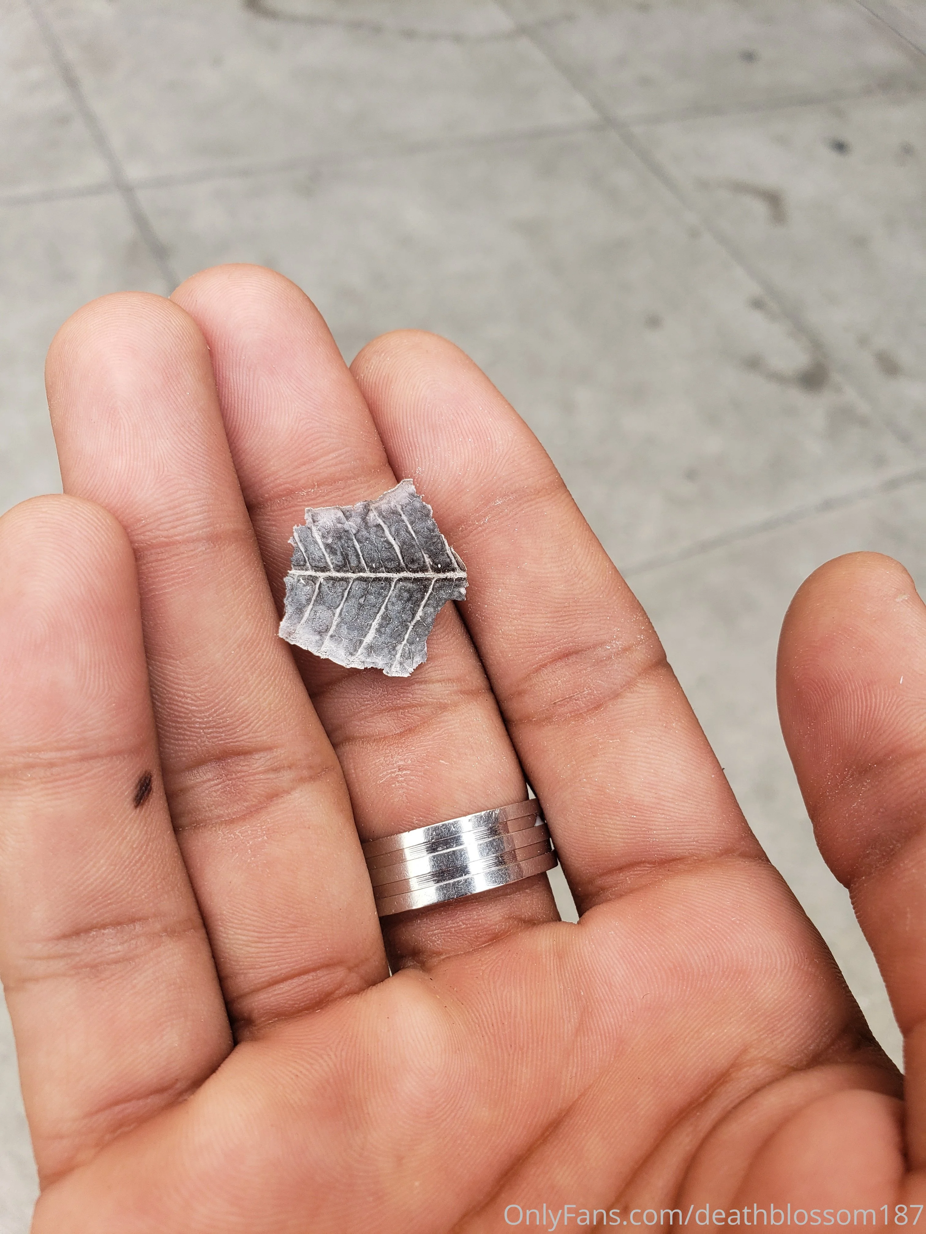 🌺Deathblossom187🌺 OnlyFans free account photo 5 - deathblossom187 nudes and sex tapes