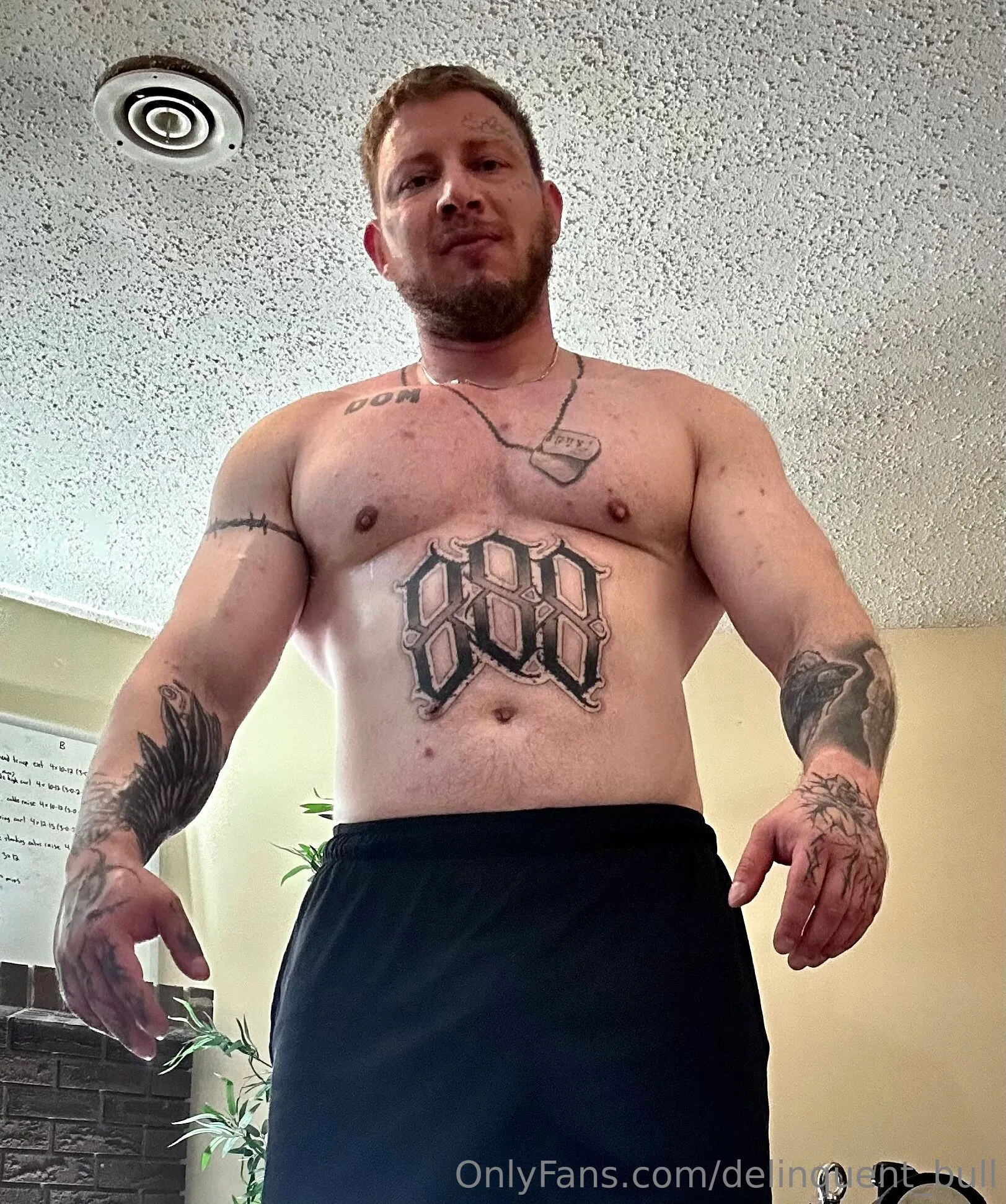 Delinquent Bull OnlyFans free account photo 12 - delinquent_bull nudes and sex tapes