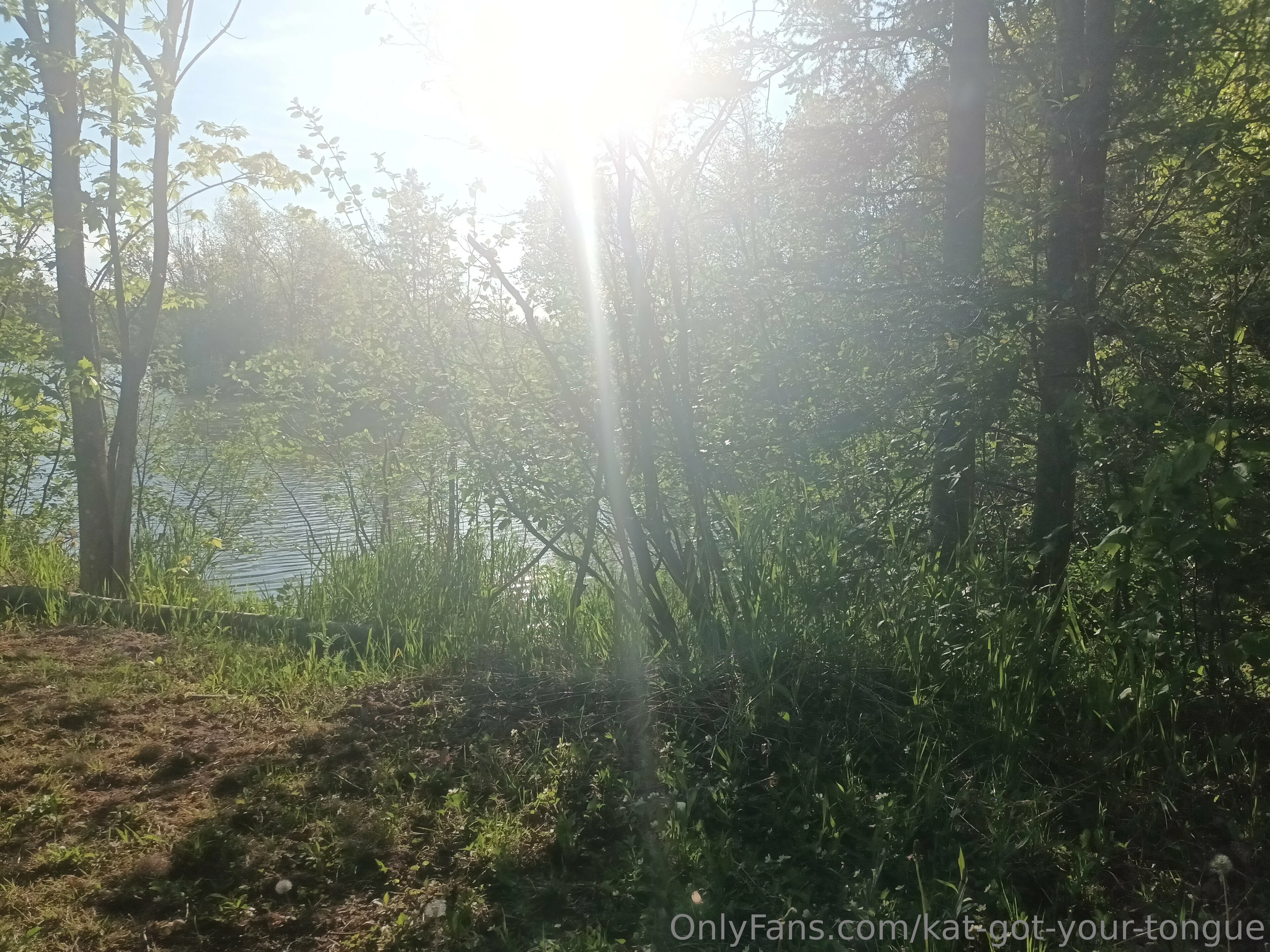 Kat Lexus OnlyFans free account photo 22 - kat-got-your-tongue nudes and sex tapes