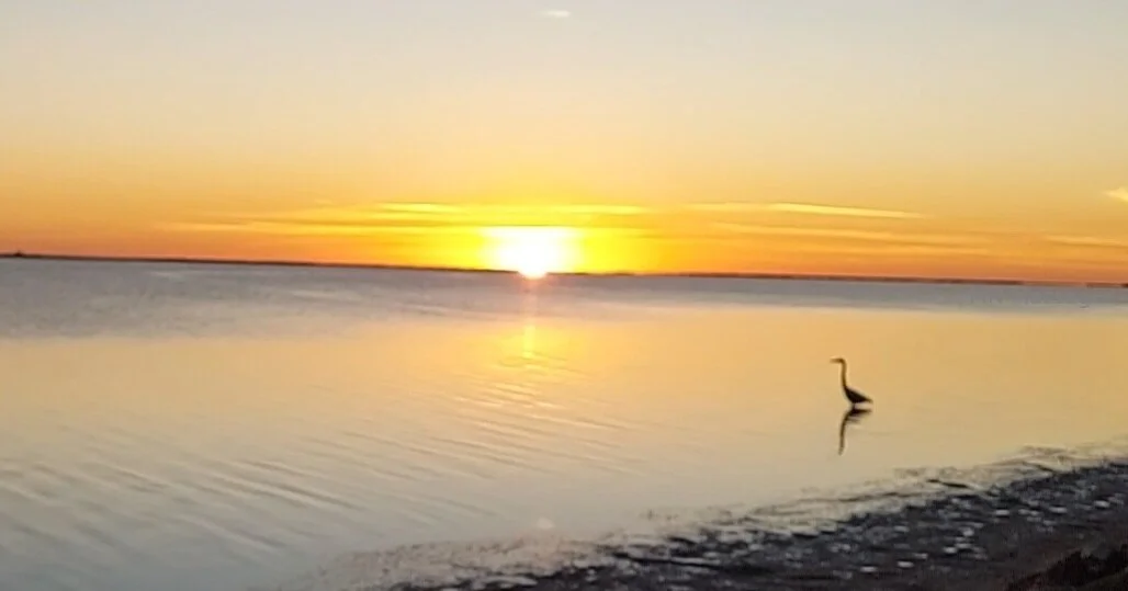 MN Massager OnlyFans free account photo 5 - mnmassager nudes and sex tapes