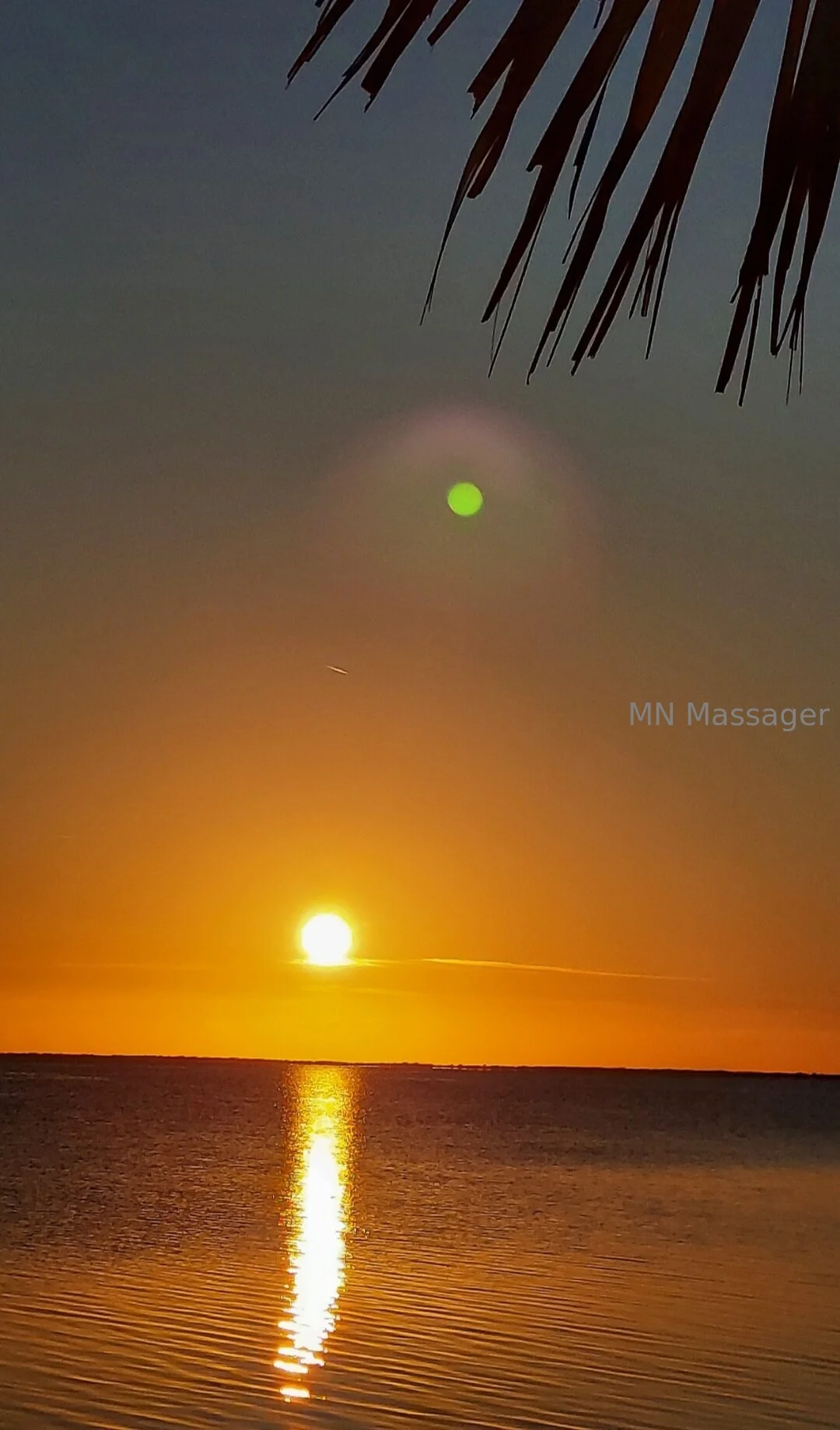 MN Massager OnlyFans free account photo 4 - mnmassager nudes and sex tapes