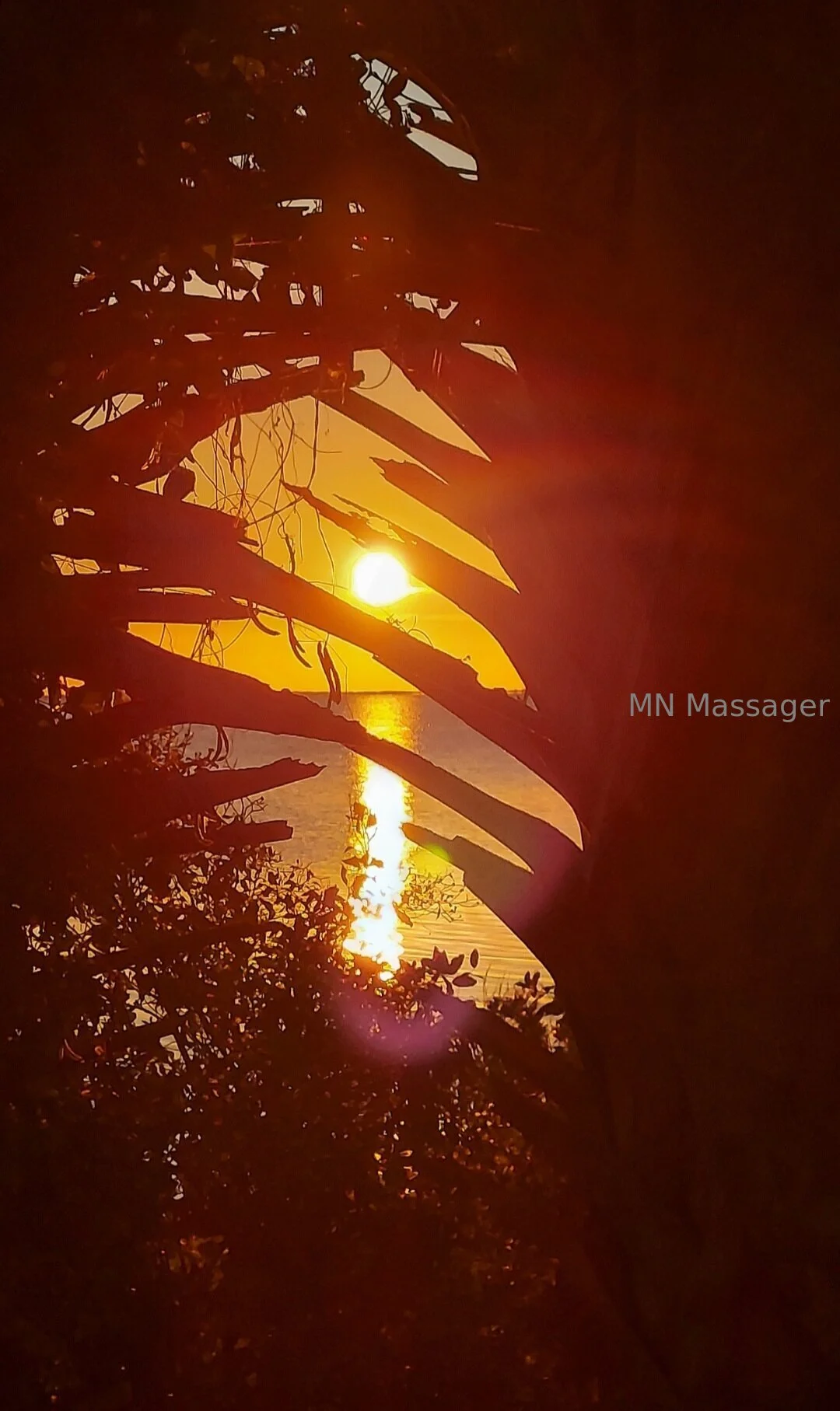 MN Massager OnlyFans free account photo 1 - mnmassager nudes and sex tapes