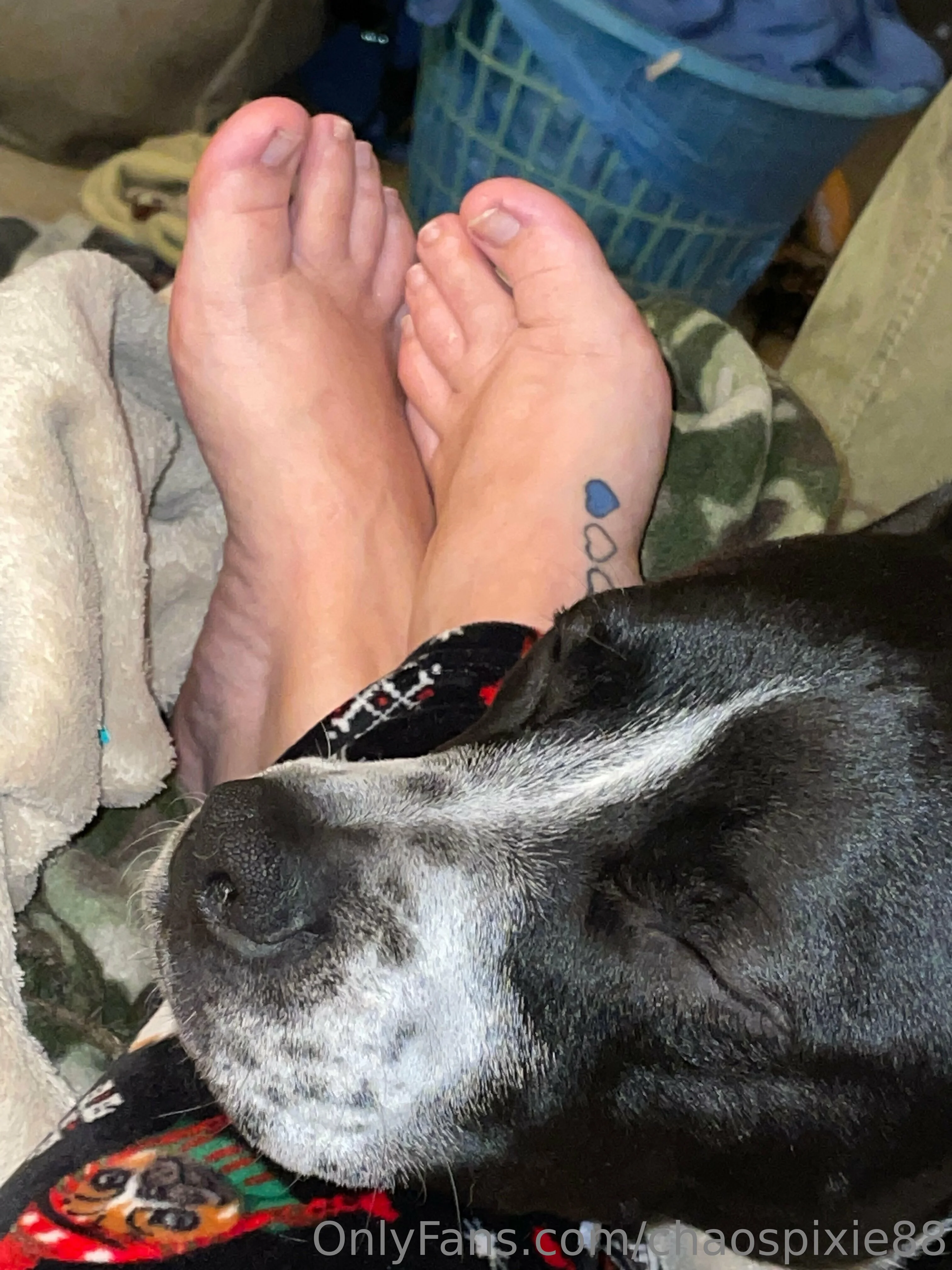 Pixie OnlyFans free account photo 19 - spookygal88 nudes and sex tapes