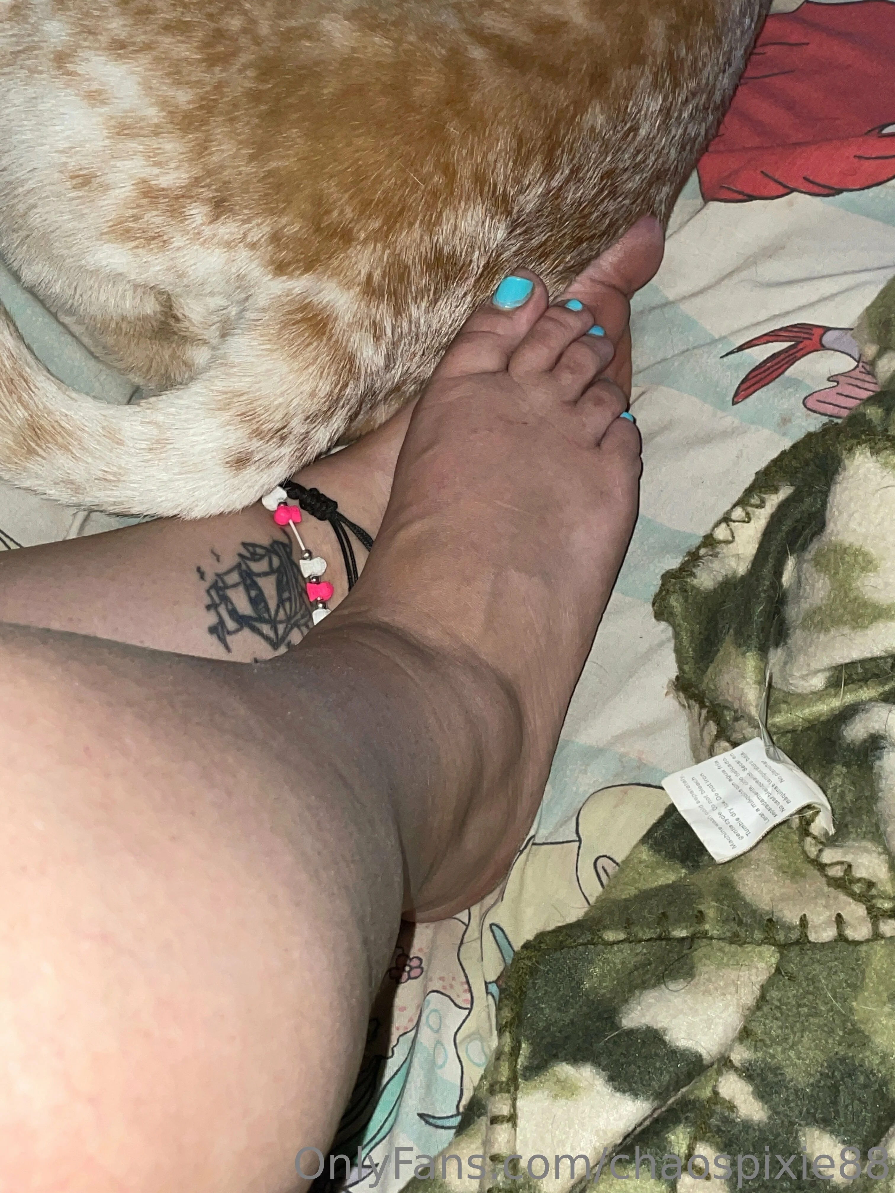 Pixie OnlyFans free account photo 10 - spookygal88 nudes and sex tapes