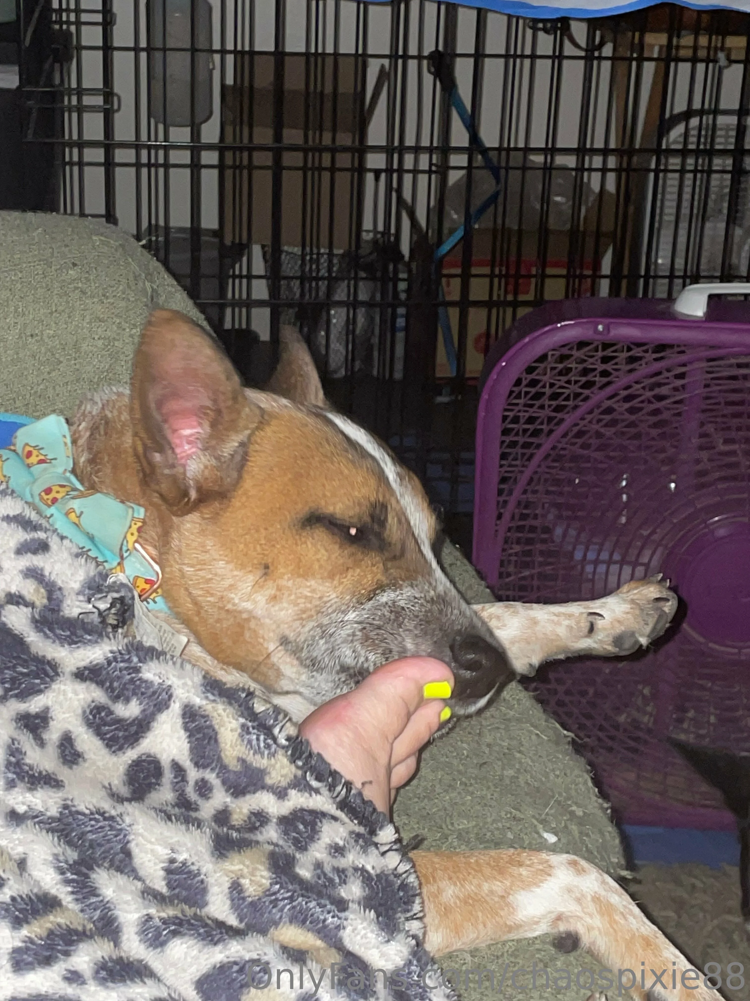 Pixie OnlyFans free account photo 2 - spookygal88 nudes and sex tapes