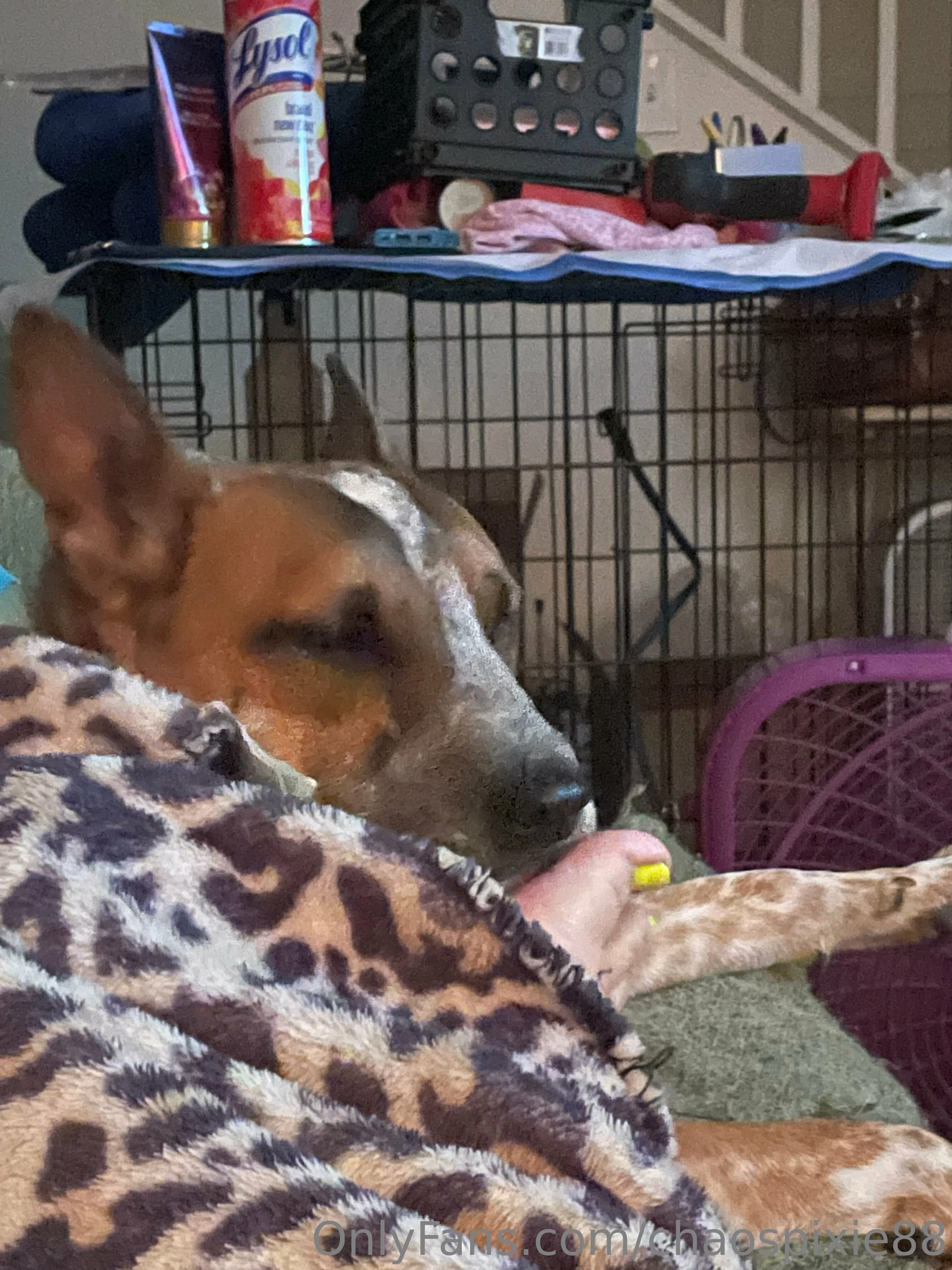 Pixie OnlyFans free account photo 1 - spookygal88 nudes and sex tapes